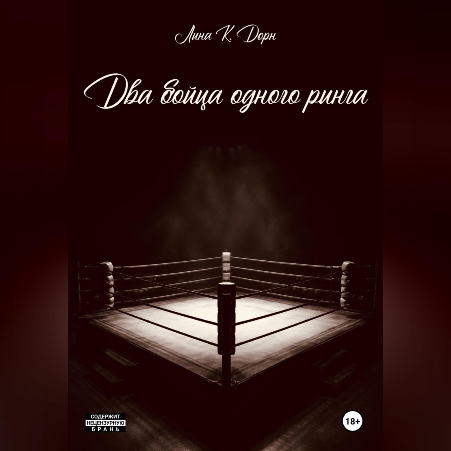 Обложка книги «Два бойца одного ринга»