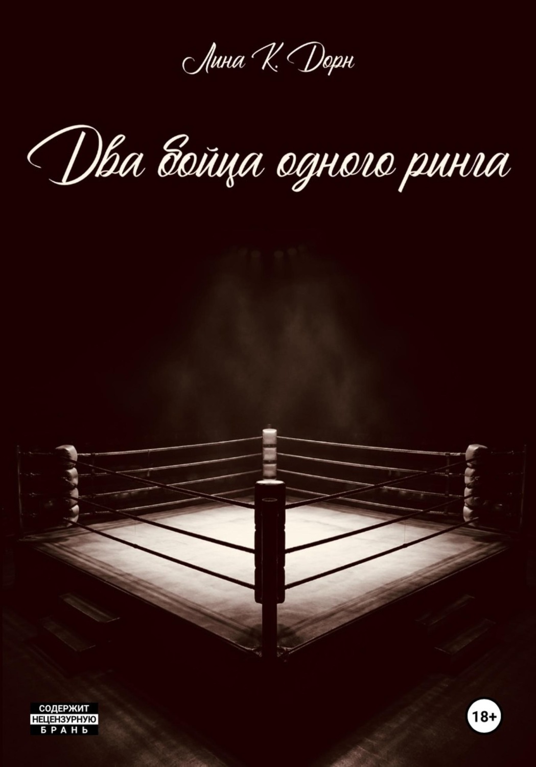 Обложка книги «Два бойца одного ринга»