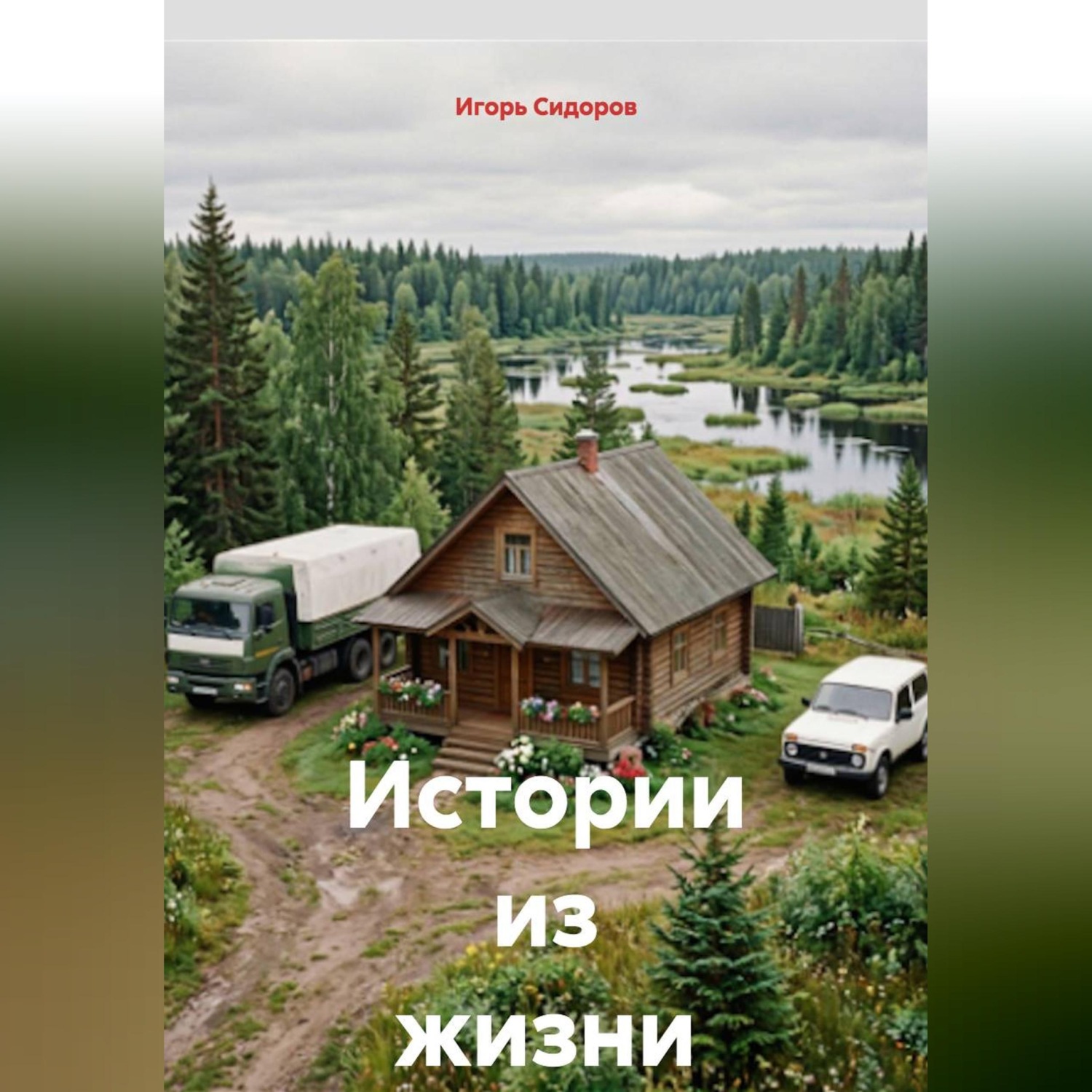 Обложка книги «Истории из жизни»