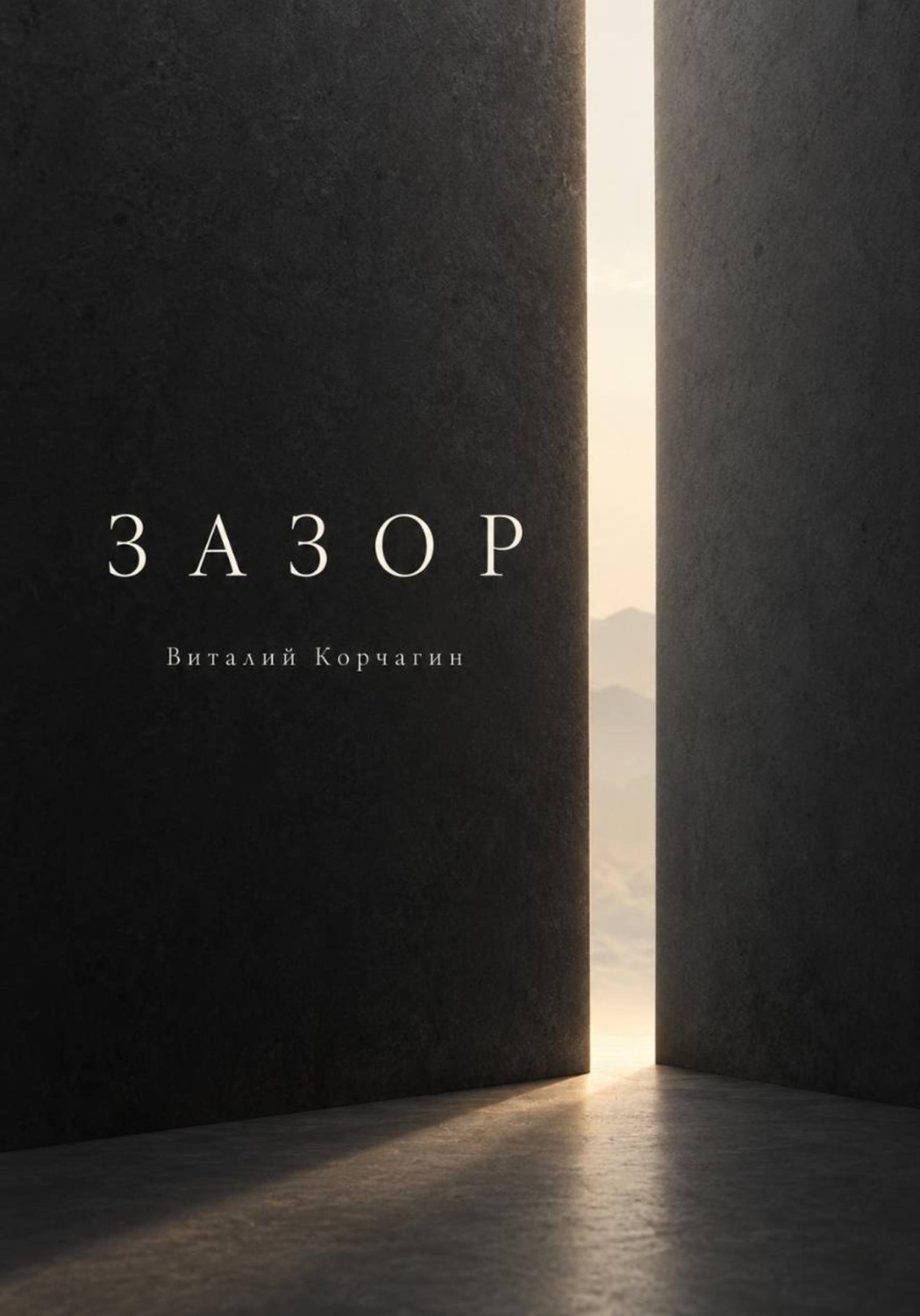 Обложка книги «Зазор»
