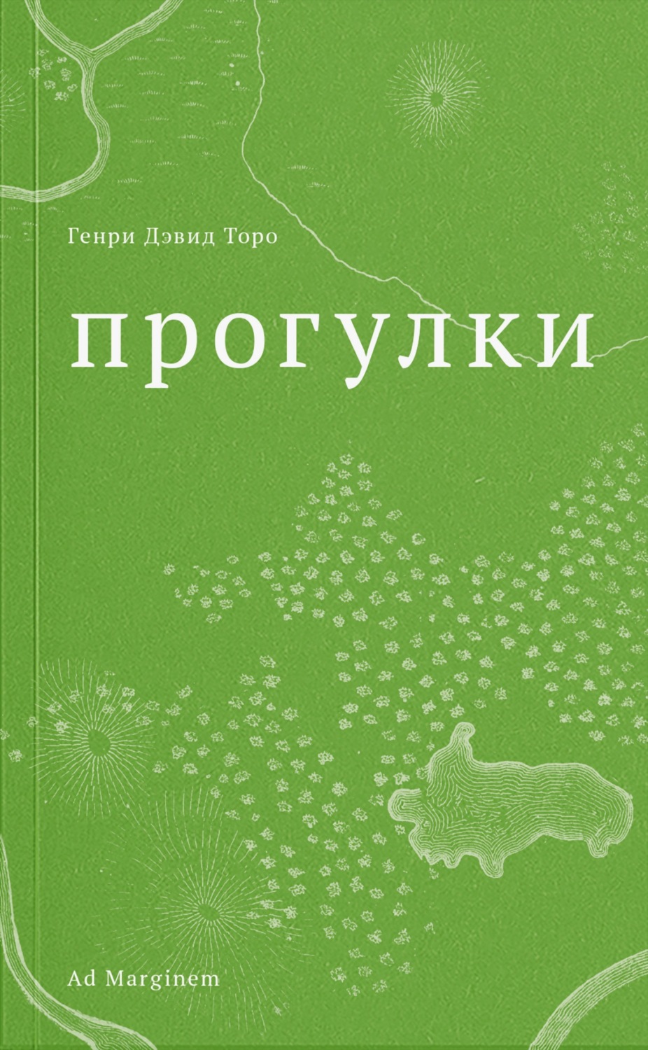 Обложка книги «Прогулки»
