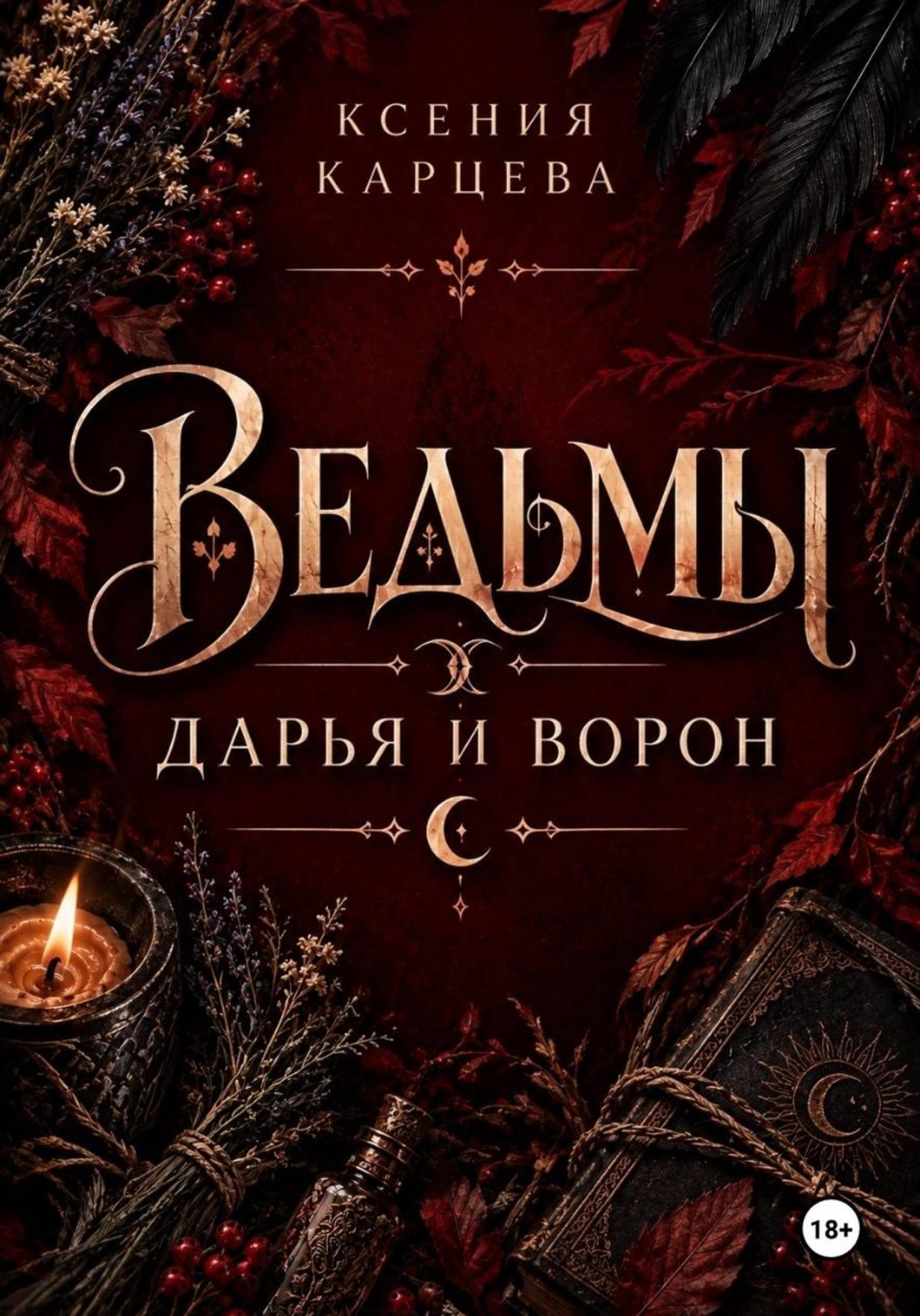 Обложка книги «Ведьмы. Дарья и Ворон»