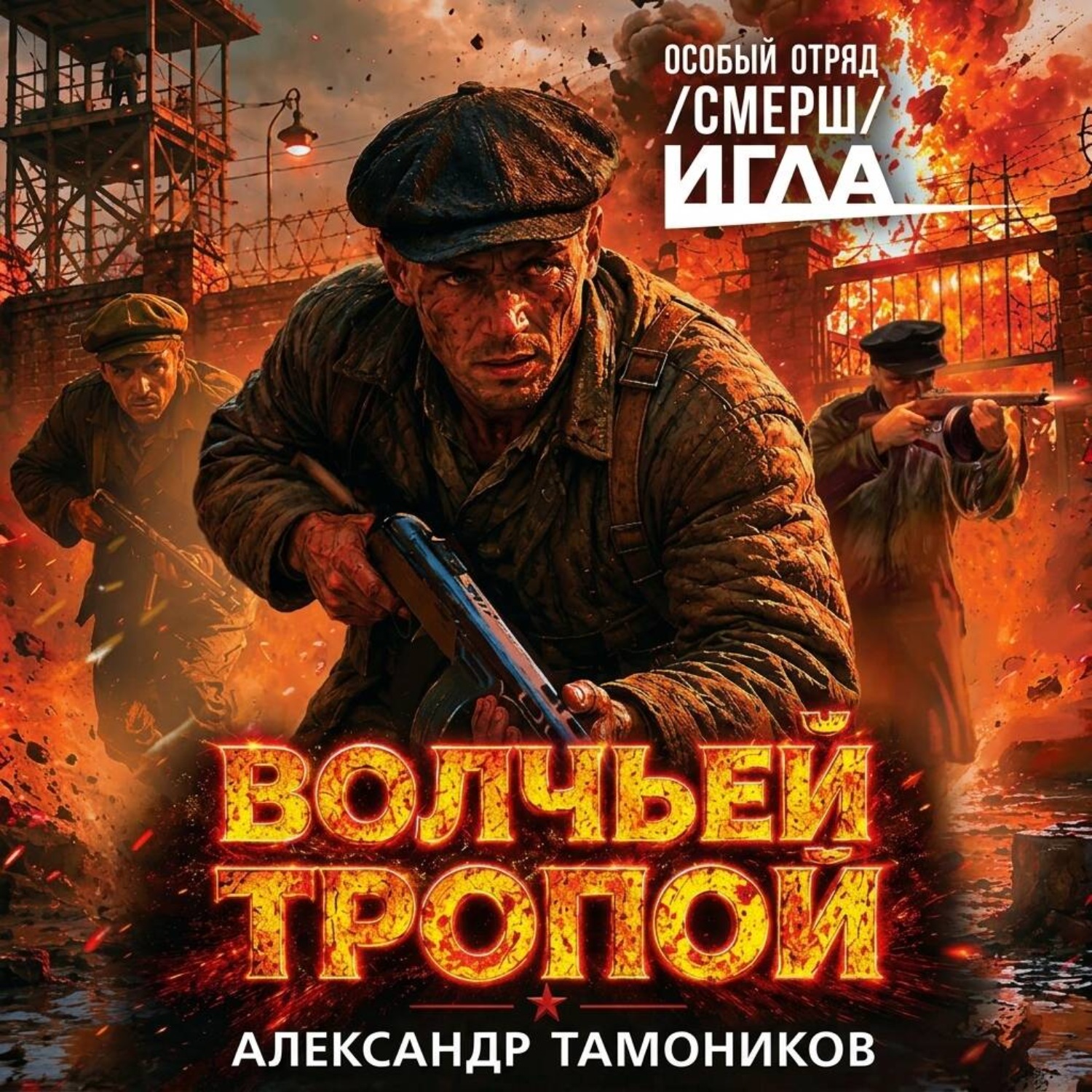 Обложка книги «Волчьей тропой»