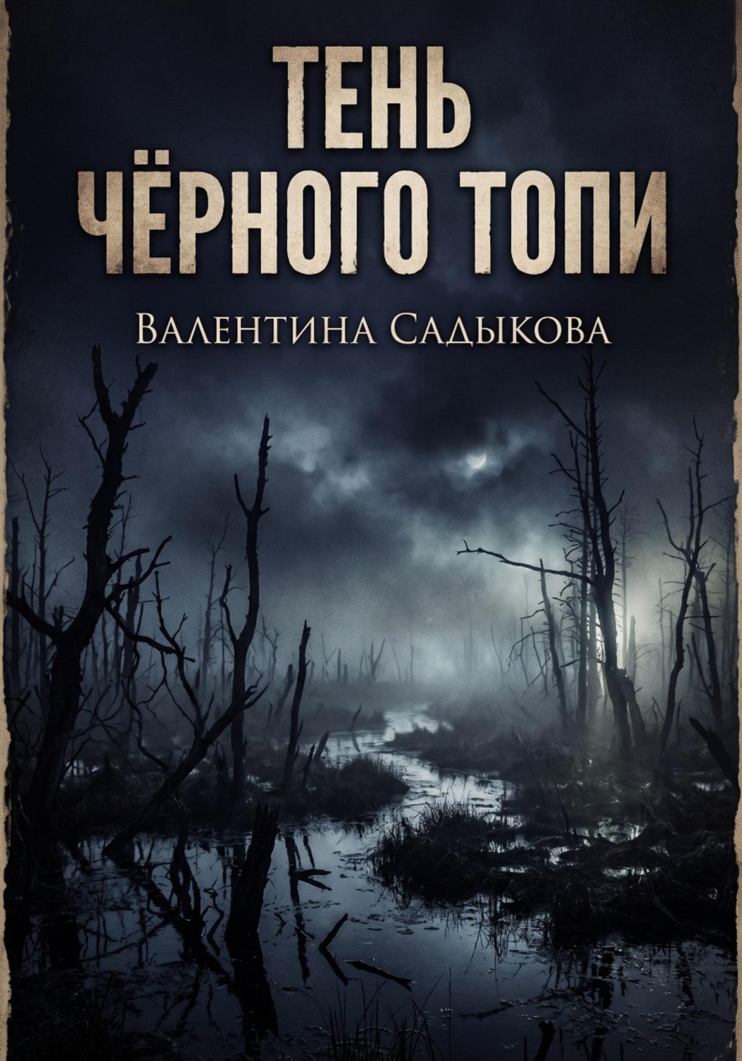 Обложка книги «ТЕНЬ ЧЁРНОГО ТОПИ»