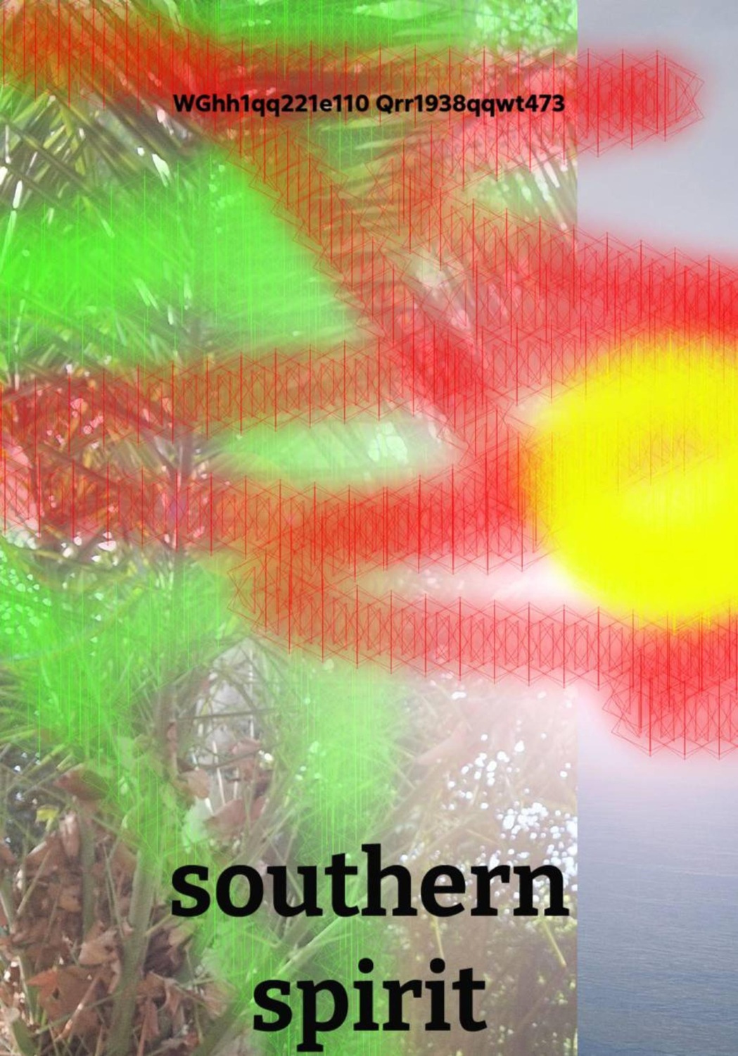 Обложка книги «southern spirit»