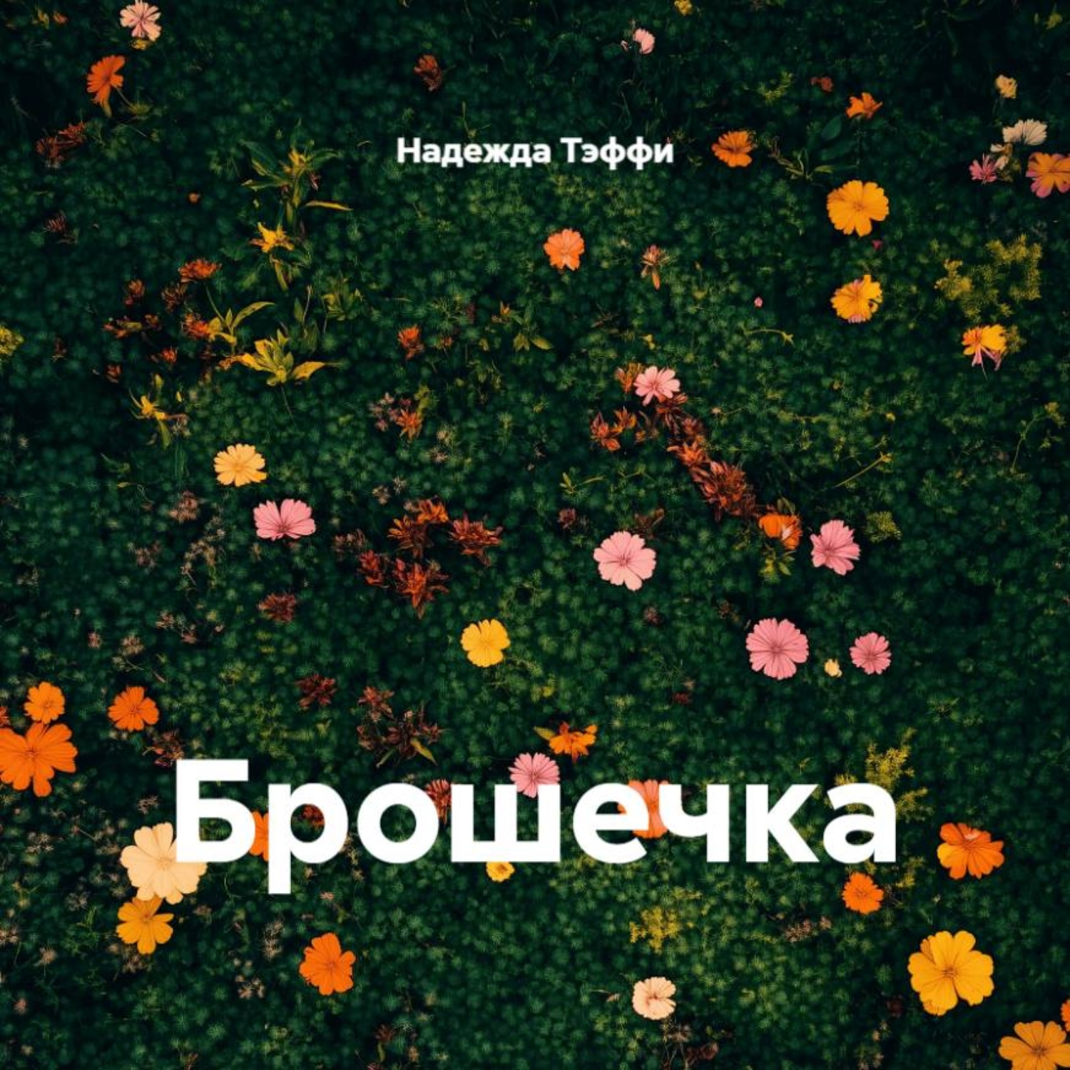 Обложка книги «Брошечка»