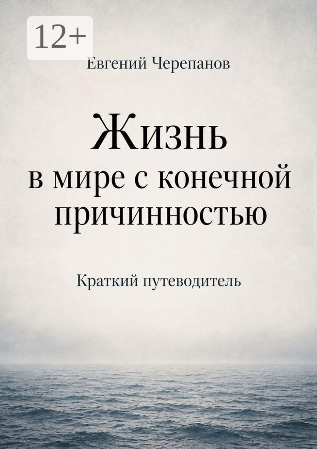 Обложка книги «Жизнь в мире с конечной причинностью. Краткий путеводитель»