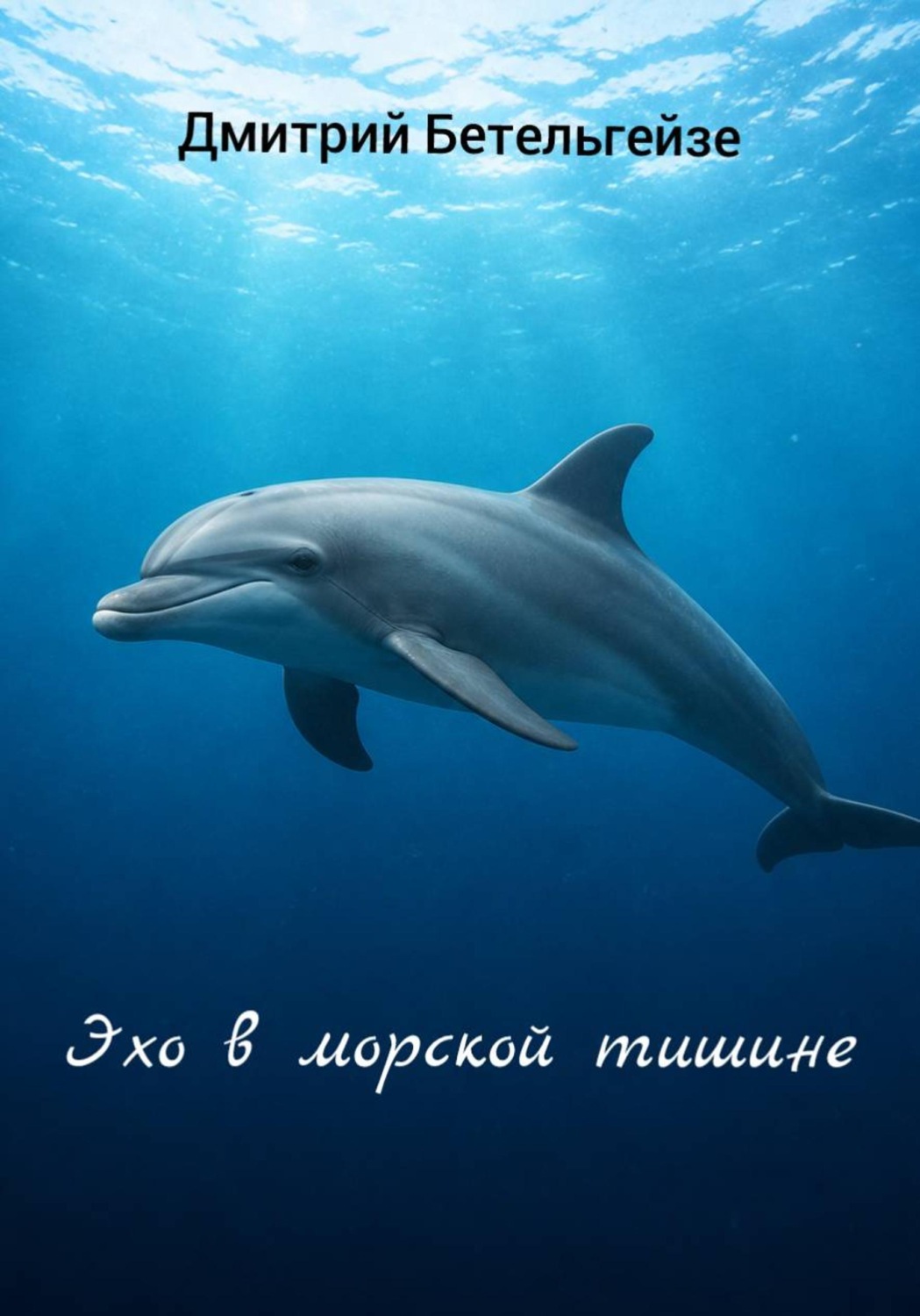 Обложка книги «Эхо в морской тишине»