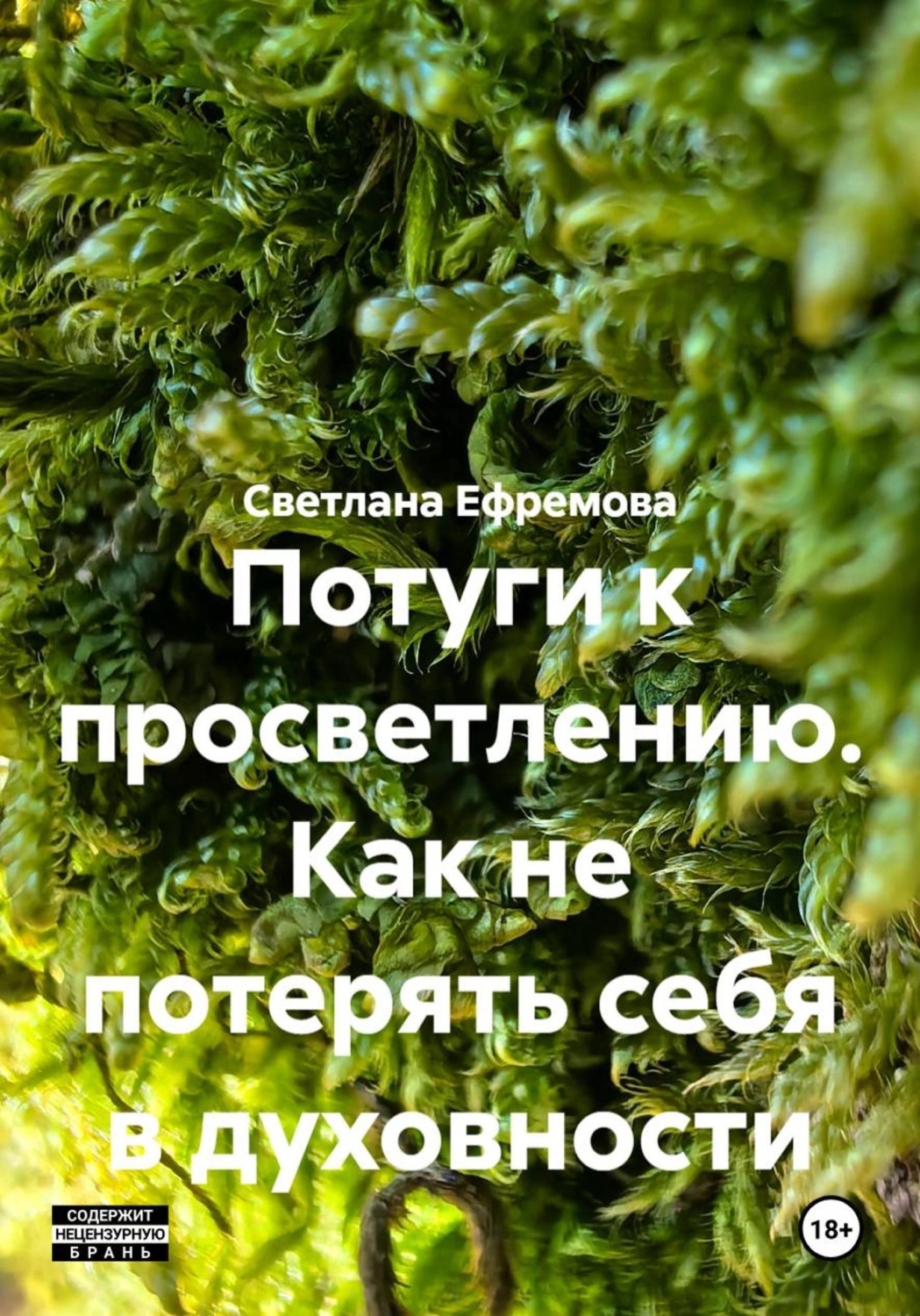Обложка книги «Потуги к просветлению. Как не потерять себя в духовности»