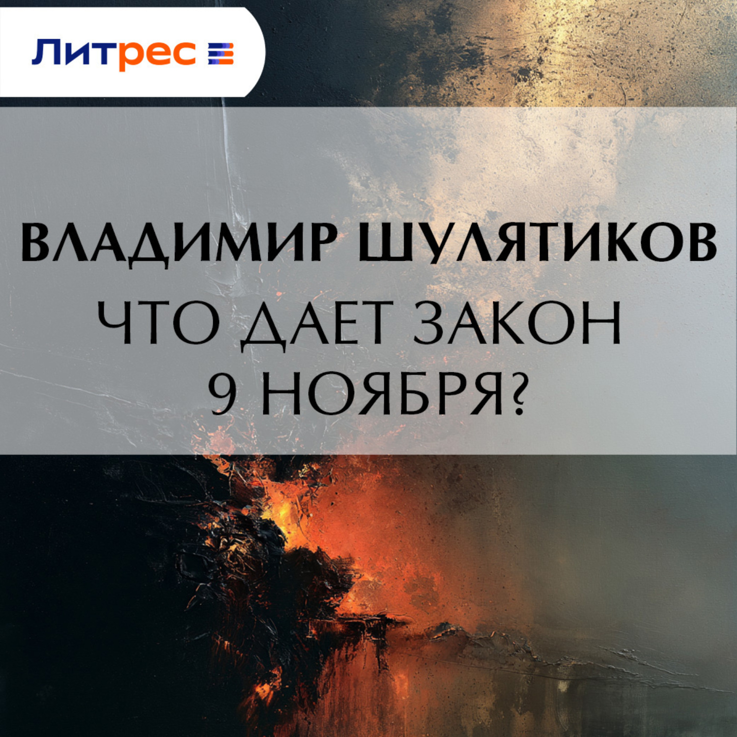 Обложка книги «Что дает закон 9 ноября?»