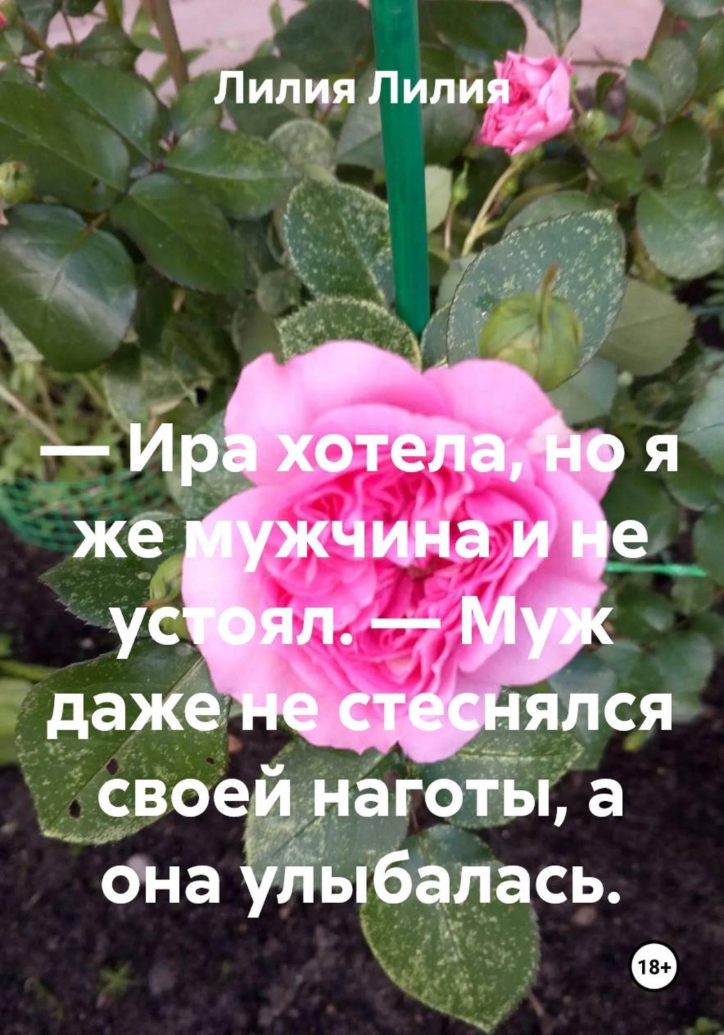 Обложка книги «— Ира хотела, но я же мужчина и не устоял. — Муж даже не стеснялся своей наготы, а она улыбалась.»