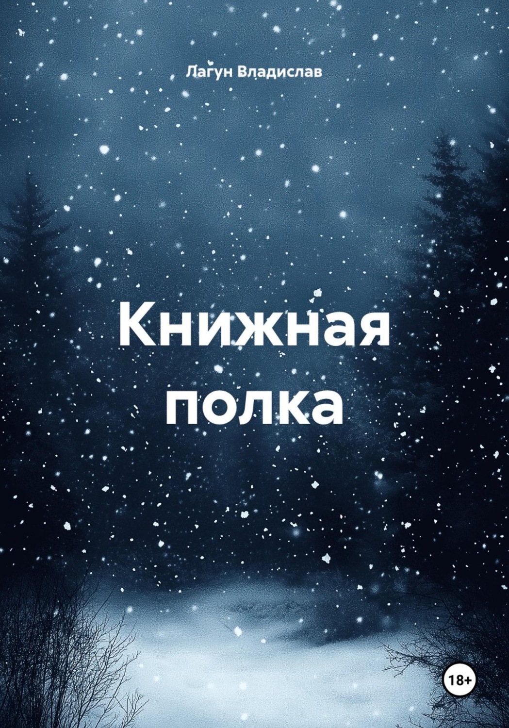 Обложка: Книжная полка