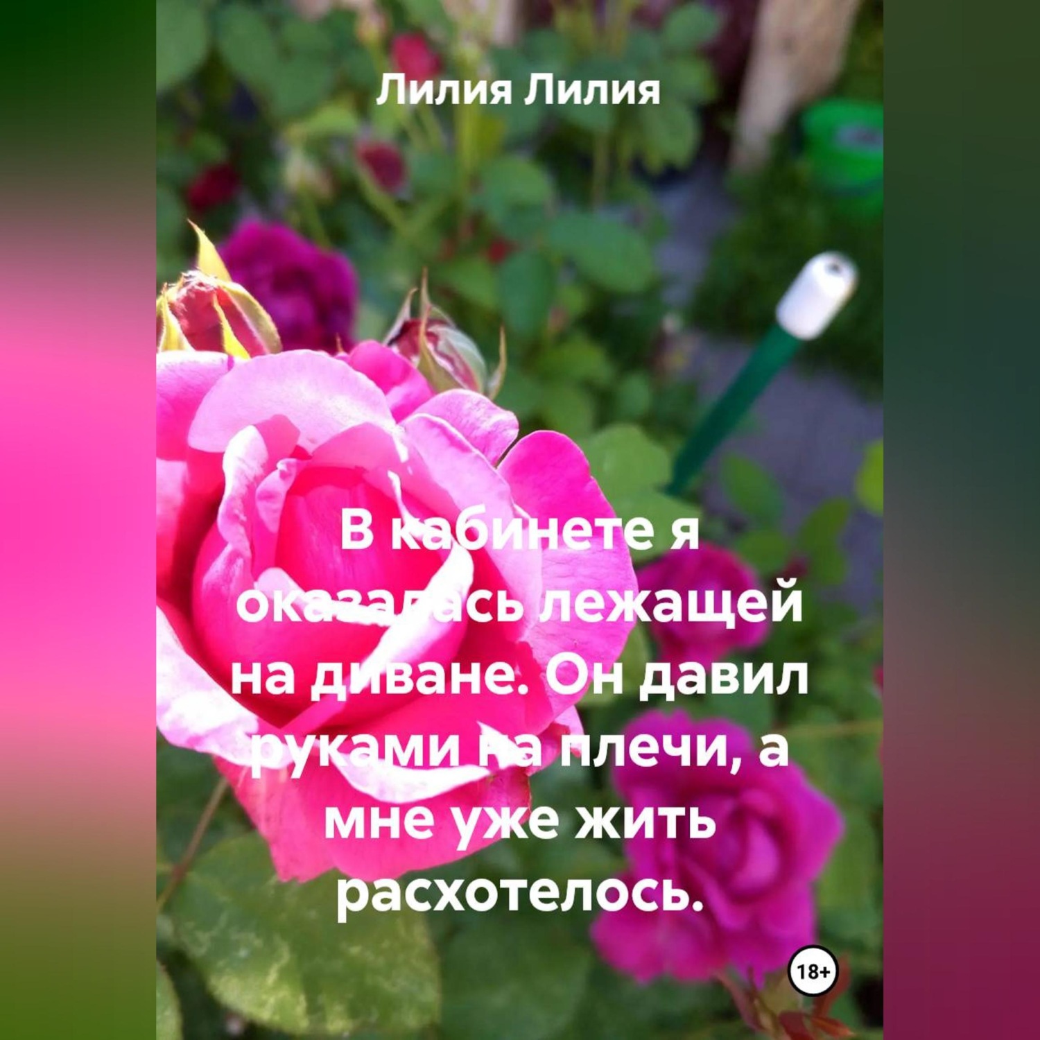 Обложка книги «В кабинете я оказалась лежащей на диване. Он давил руками на плечи, а мне уже жить расхотелось.»