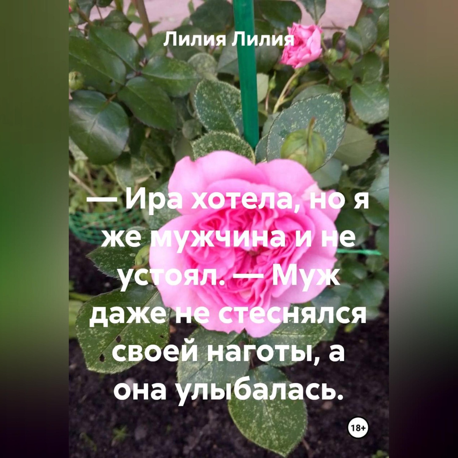 Обложка книги «— Ира хотела, но я же мужчина и не устоял. — Муж даже не стеснялся своей наготы, а она улыбалась.»