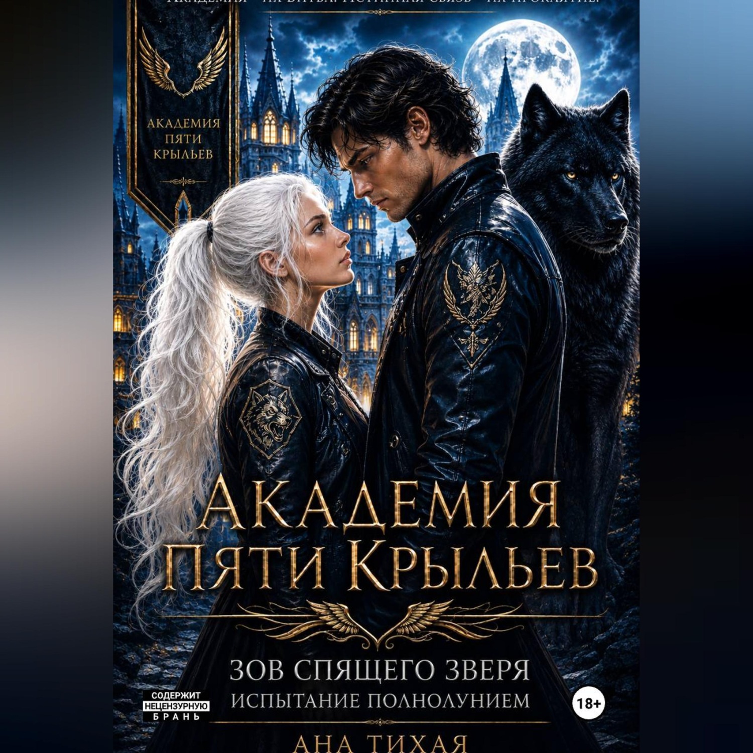 Обложка книги «Академия Пяти Крыльев: Испытание полнолунием»