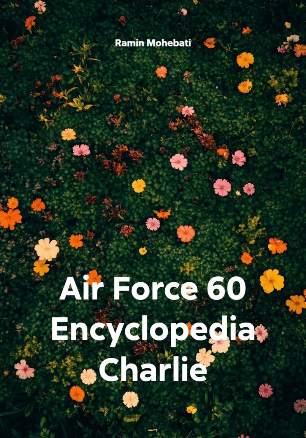 Обложка книги «Air Force 60 Encyclopedia Charlie»