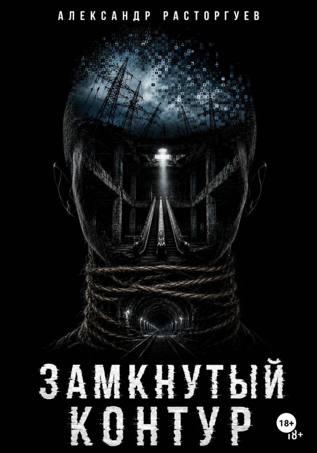 Обложка книги «Замкнутый контур»