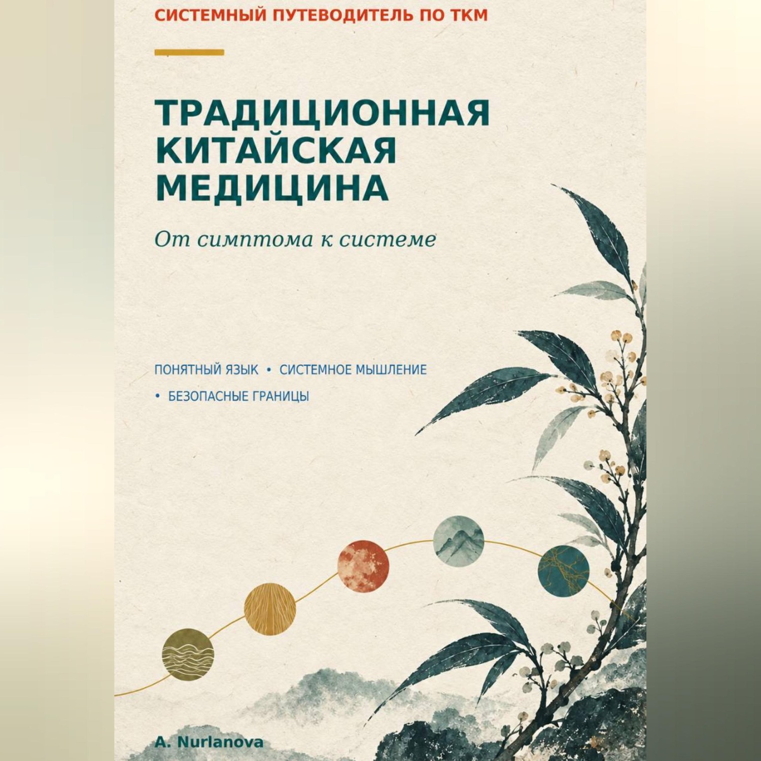 Обложка книги «Традиционная китайская медицина. От симптома к системе»