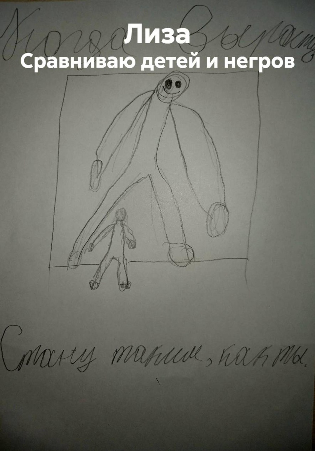 Обложка книги «Сравниваю детей и негров»