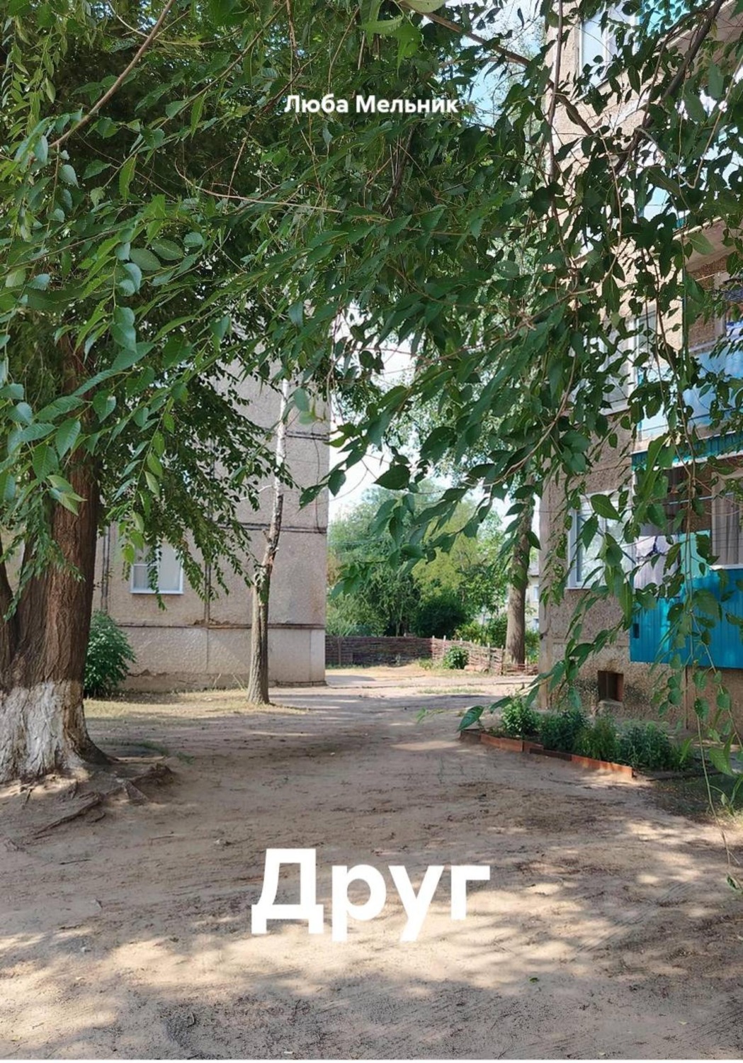 Обложка книги «Друг»