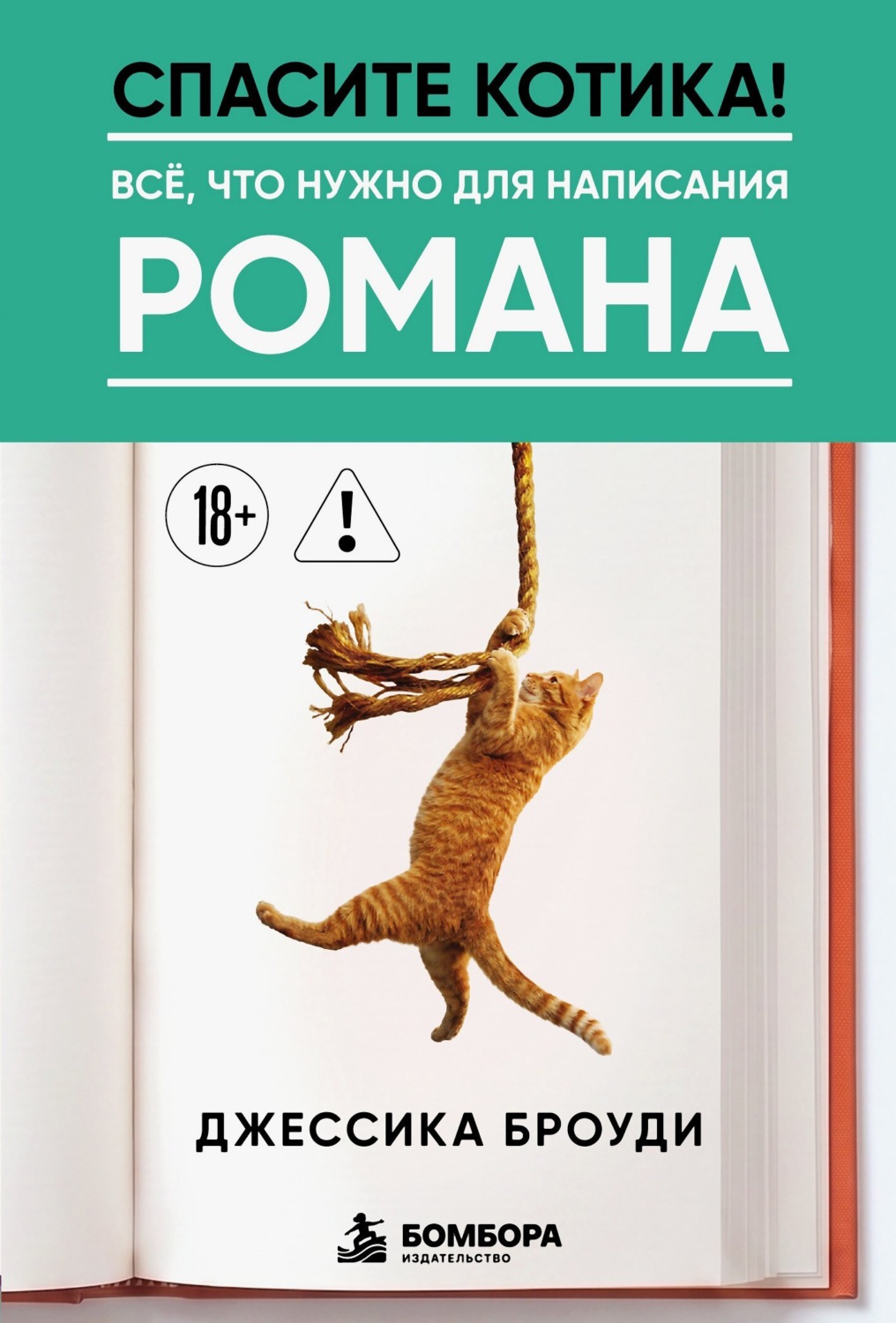 Обложка книги «Спасите котика! Всё, что нужно для написания романа»