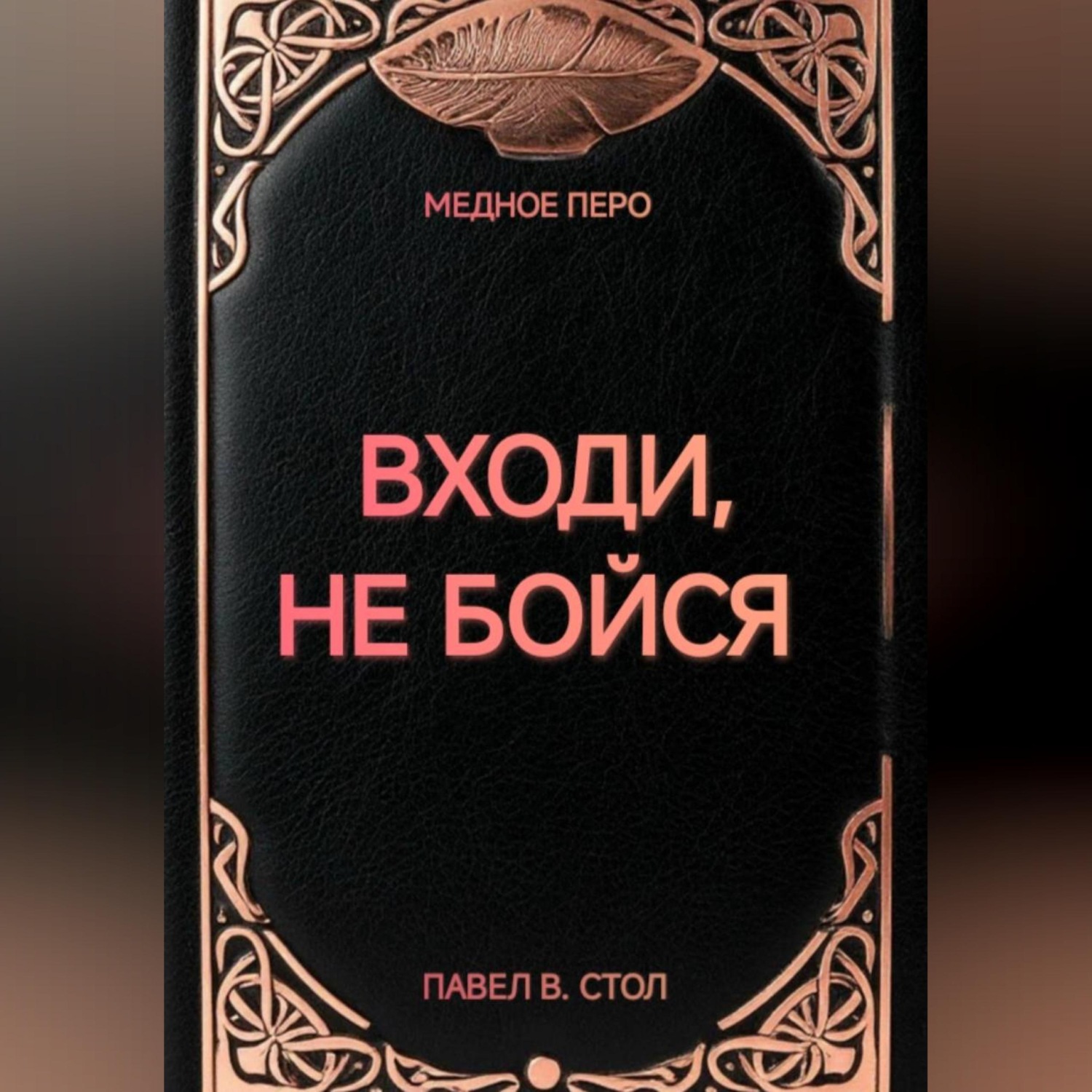 Обложка книги «Входи, не бойся»