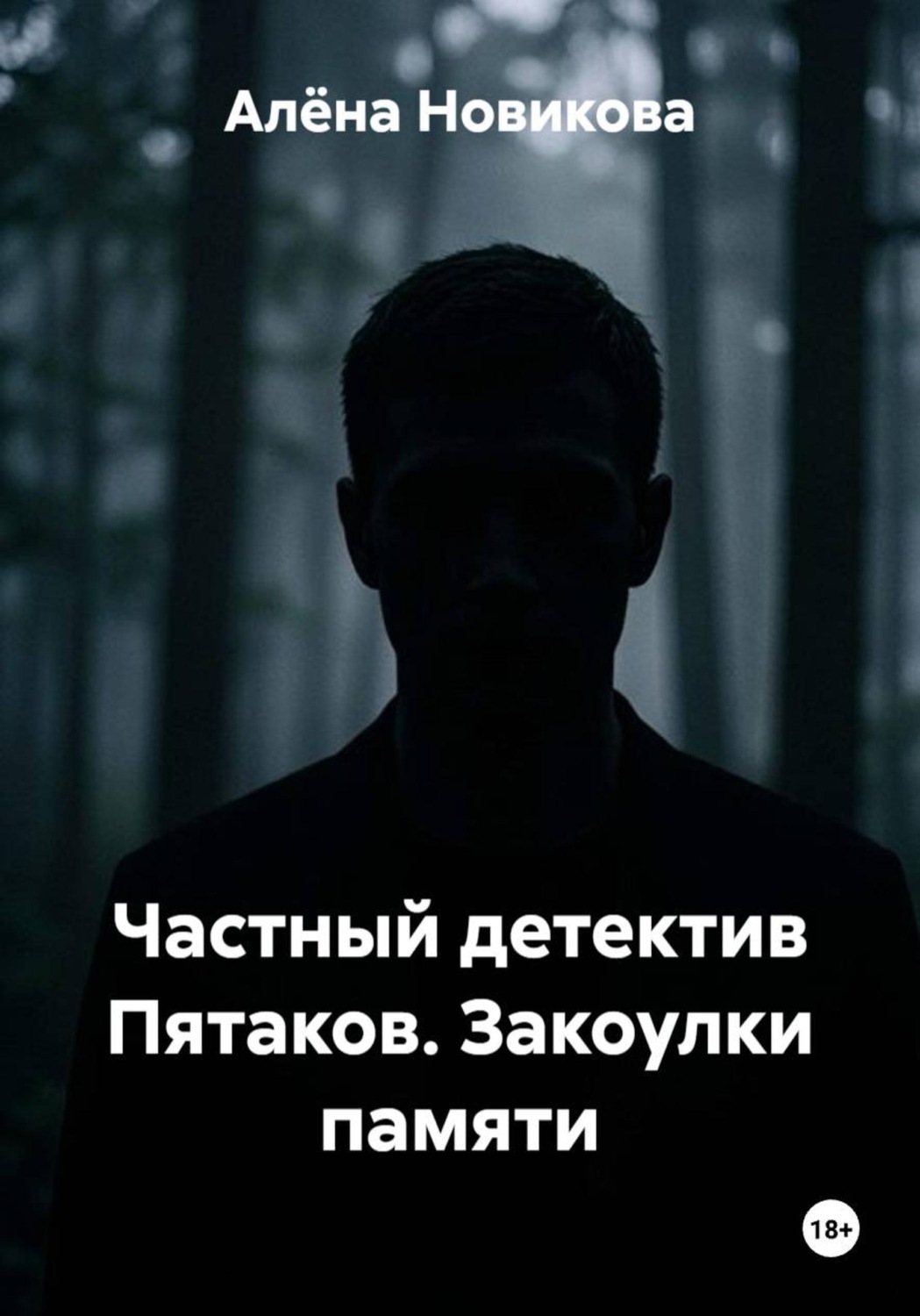 Обложка книги «Частный детектив Пятаков. Закоулки памяти»
