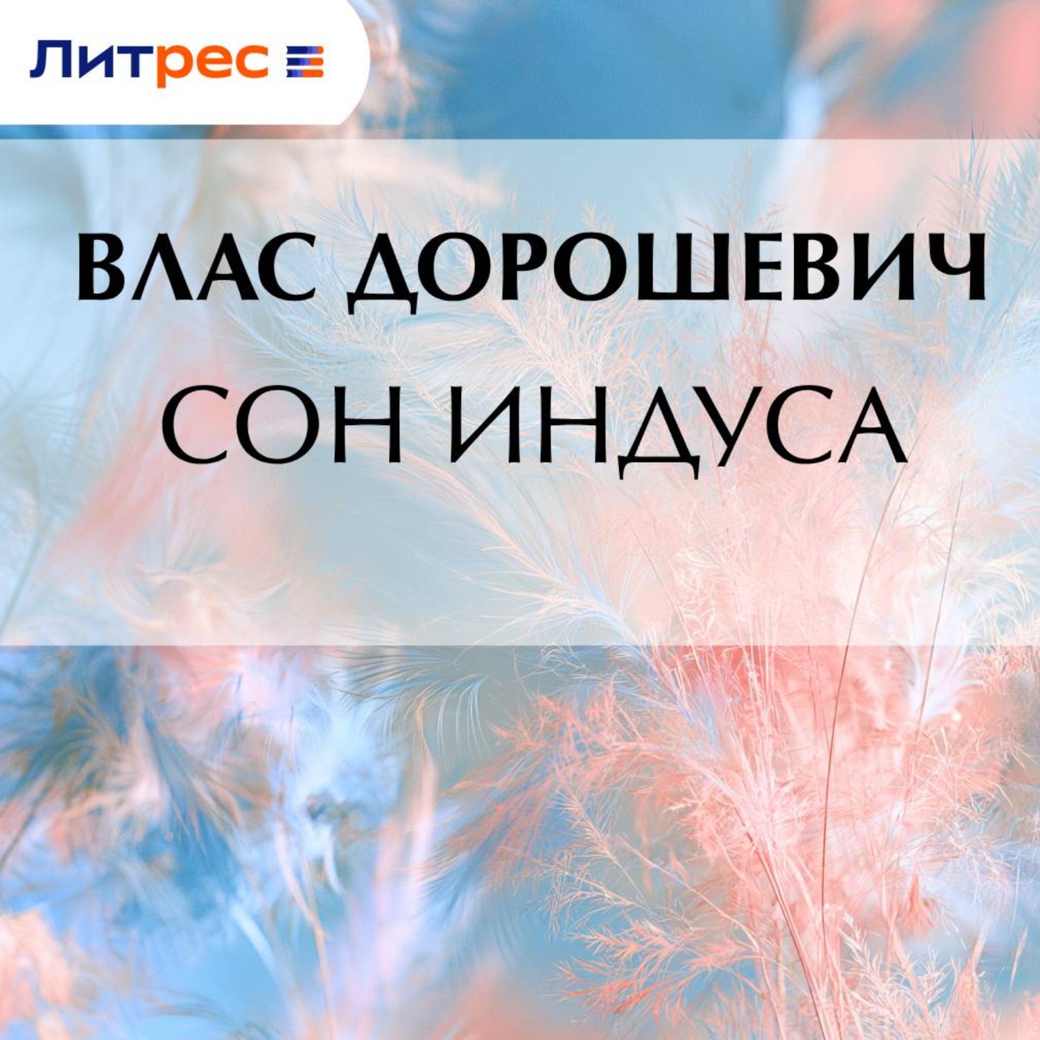 Обложка книги «Сон индуса»