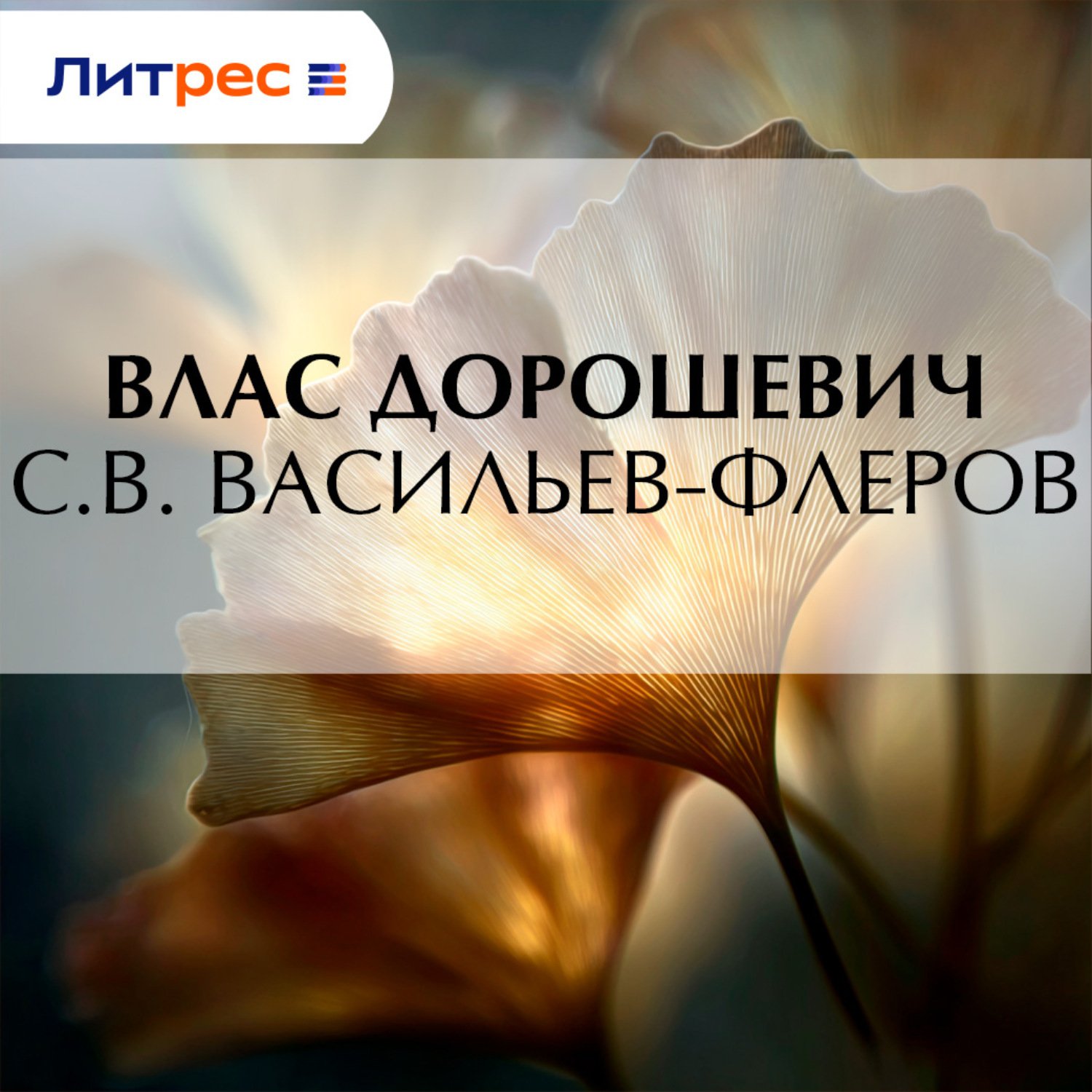 Обложка книги «С.В. Васильев-Флеров»