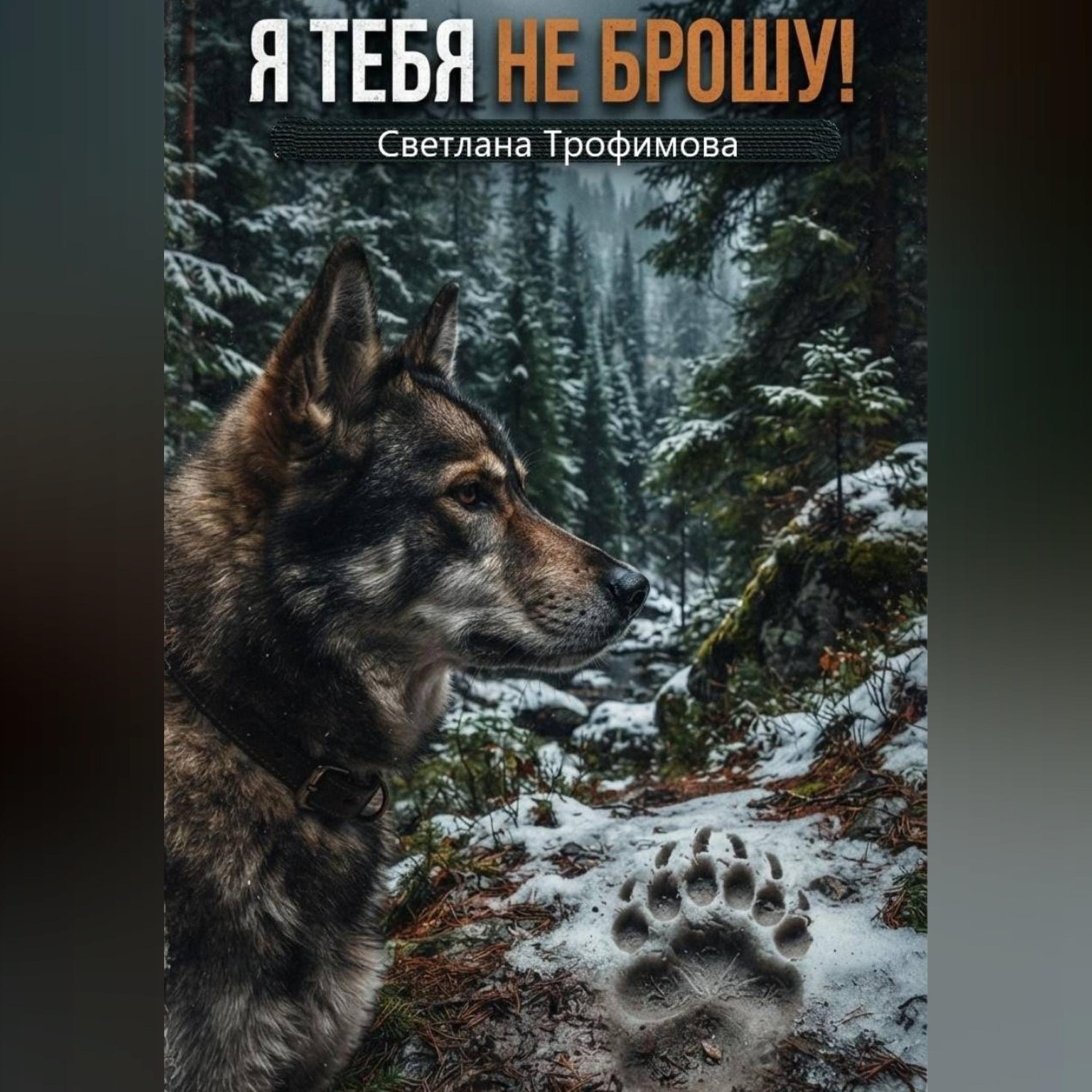 Обложка книги «Я тебя не брошу!»