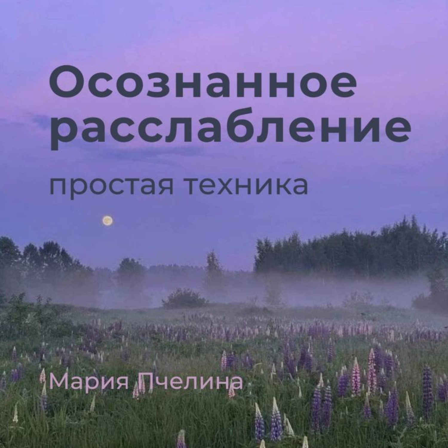 Обложка книги «Пять минут осознанного расслабления»