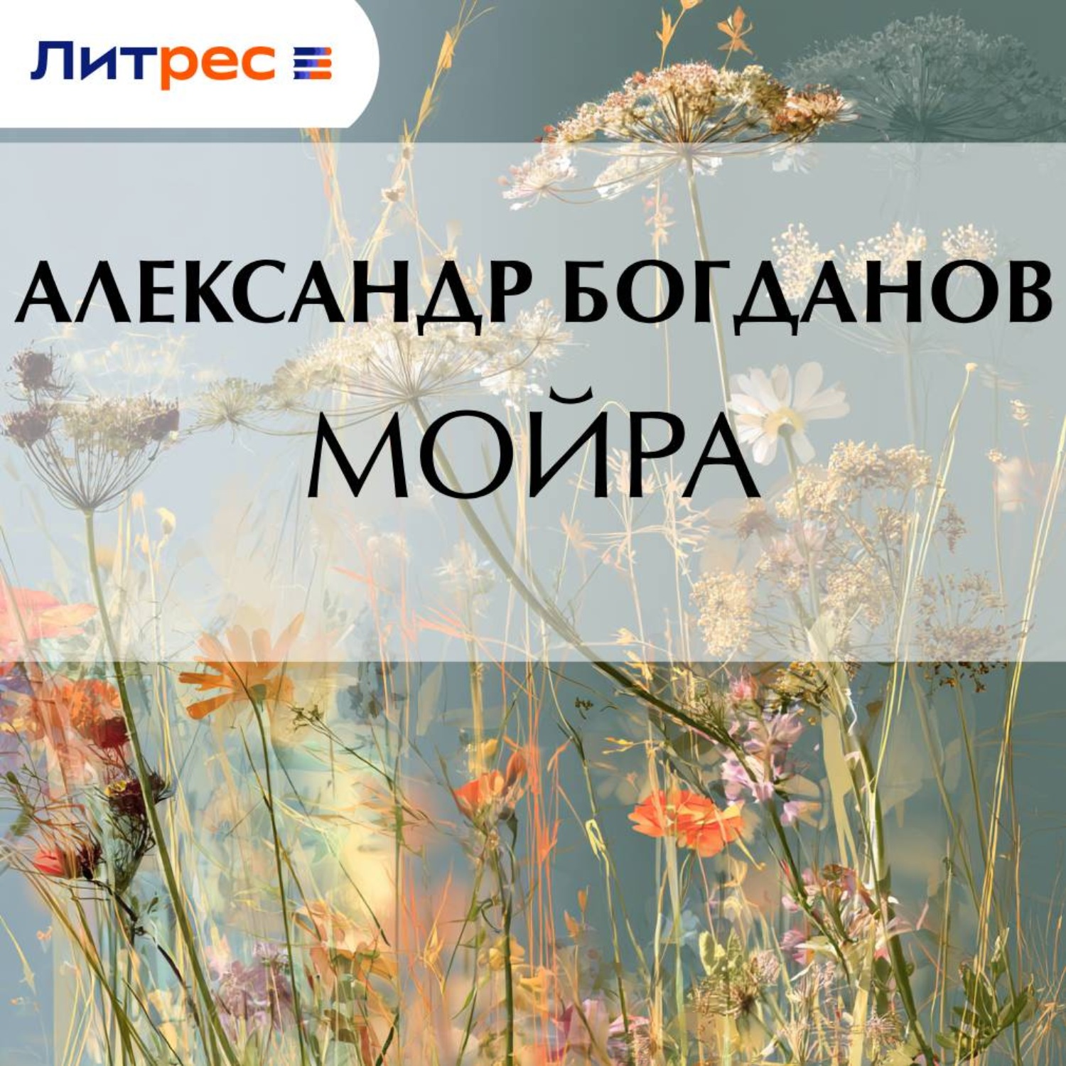 Обложка книги «Мойра»