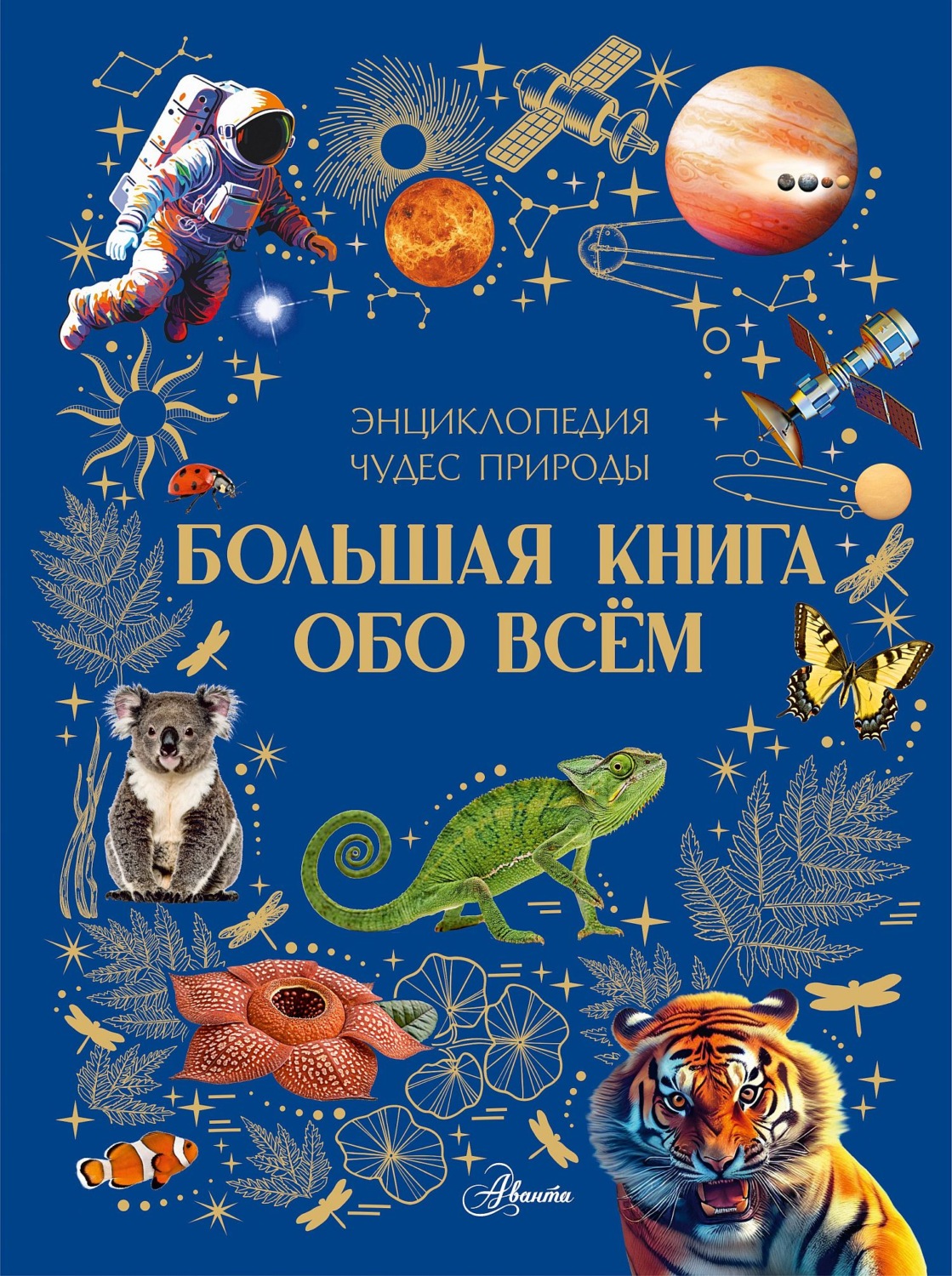 Обложка книги «Большая книга обо всём»