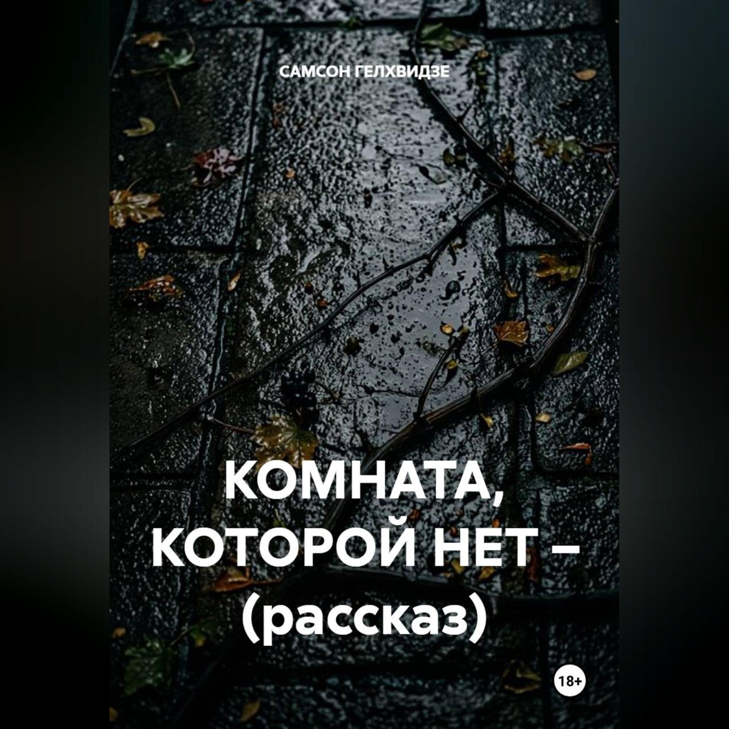 Обложка книги «КОМНАТА, КОТОРОЙ НЕТ – (рассказ)»