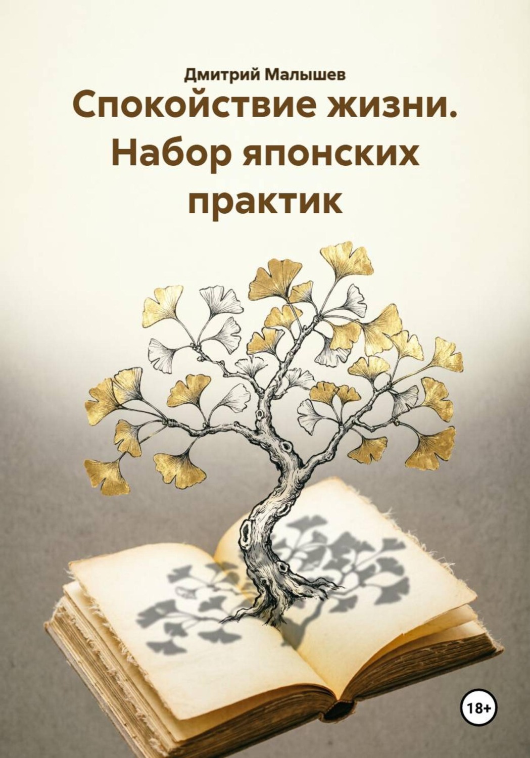 Обложка книги «Спокойствие жизни. Набор японских практик»