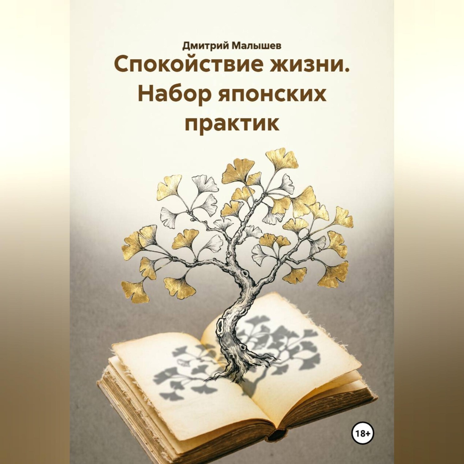 Обложка книги «Спокойствие жизни. Набор японских практик»