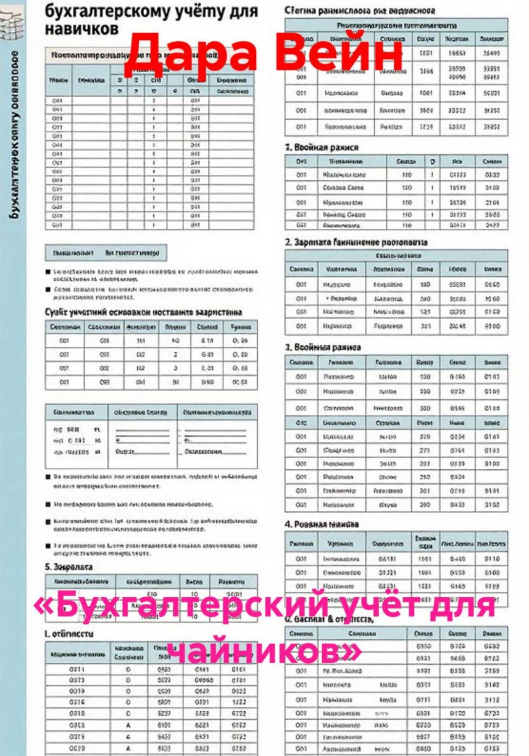 Обложка: «Бухгалтерский учёт для чайников»