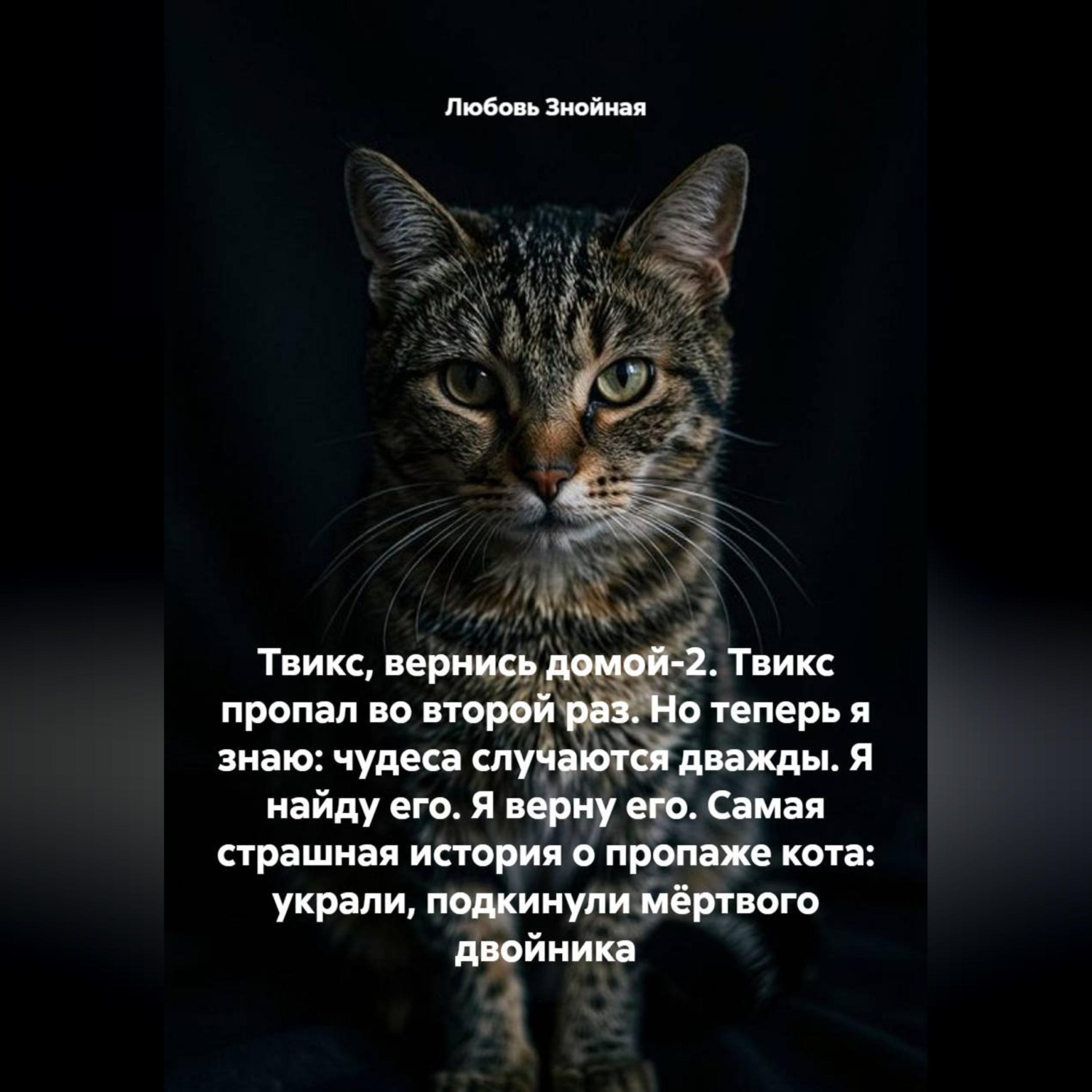 Обложка книги «Твикс, вернись домой-2. Твикс пропал во второй раз. Но теперь я знаю: чудеса случаются дважды. Я найду его. Я верну его. Самая страшная история о пропаже кота: украли, подкинули мёртвого двойника»