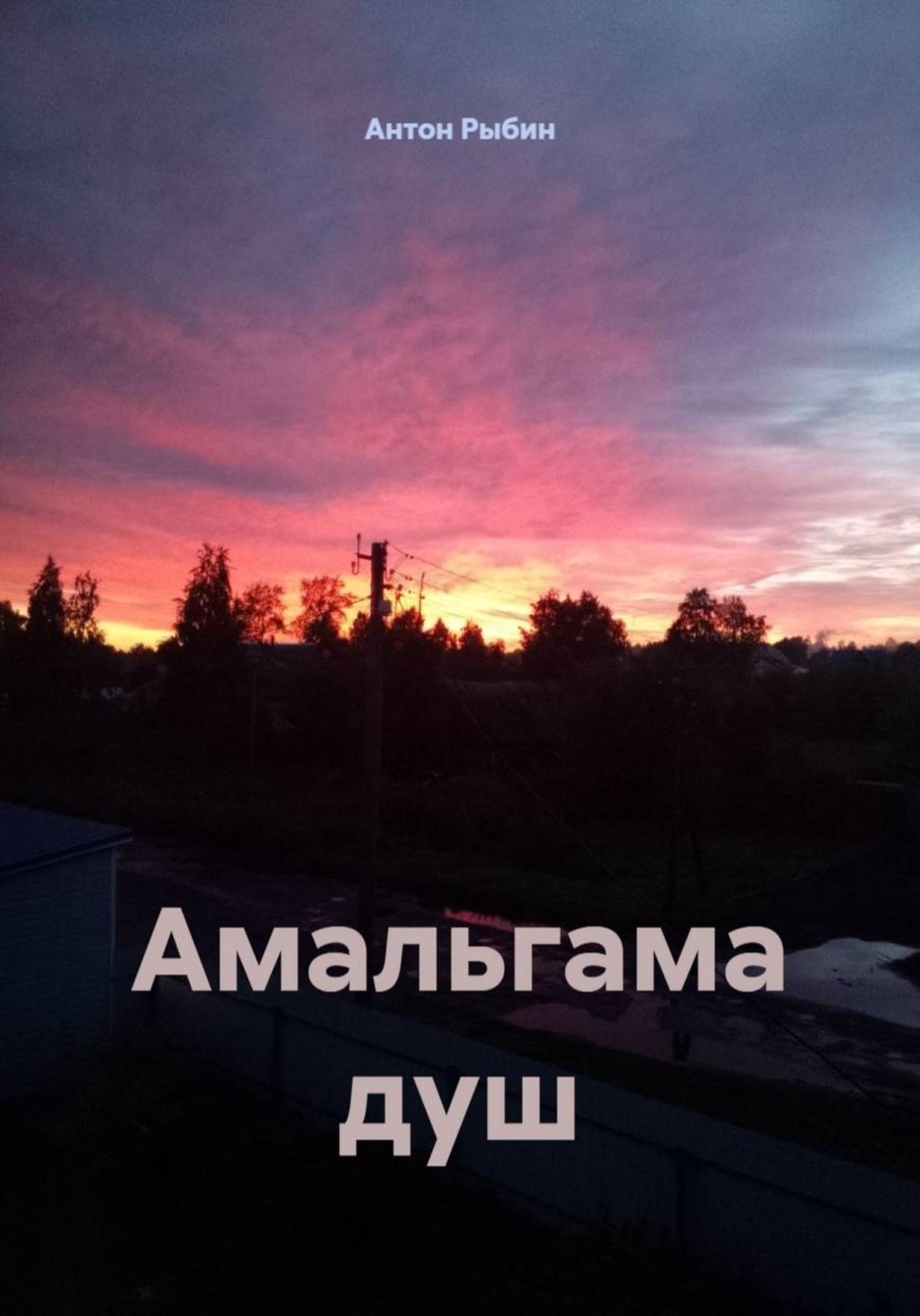 Обложка книги «Амальгама душ»