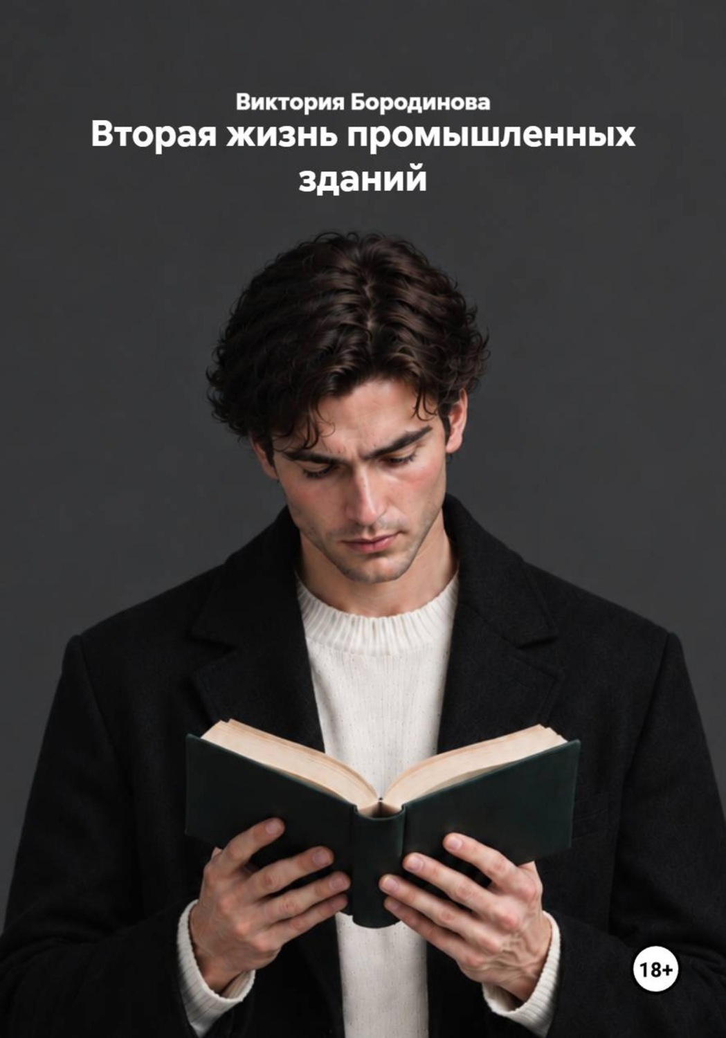 Обложка книги «Вторая жизнь промышленных зданий»