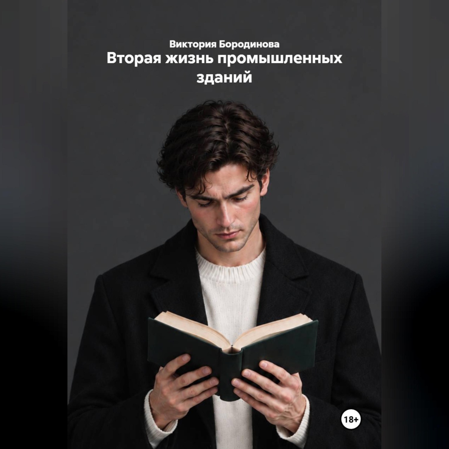 Обложка книги «Вторая жизнь промышленных зданий»