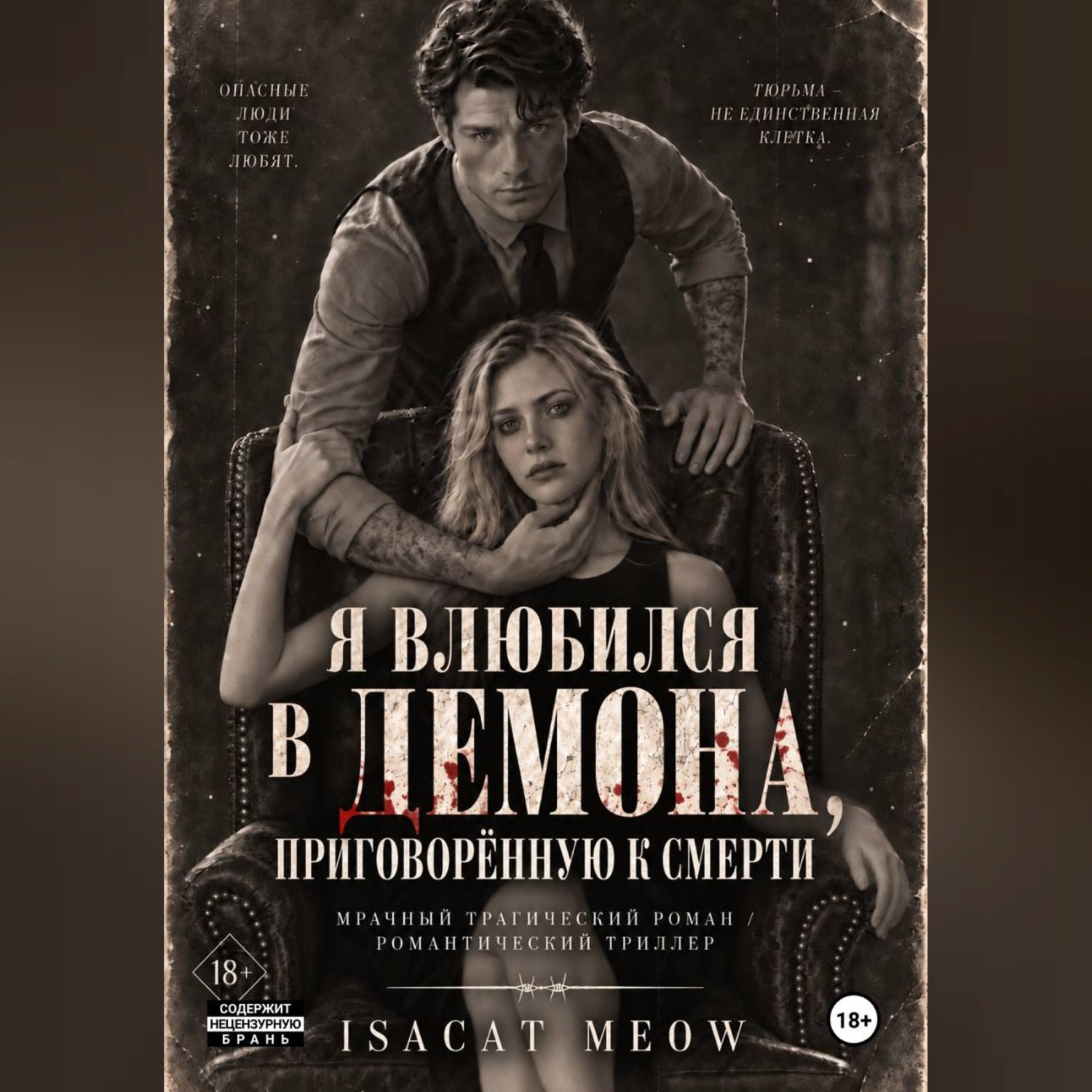 Обложка книги «Я влюбился в Демона, приговорённую к смерти»