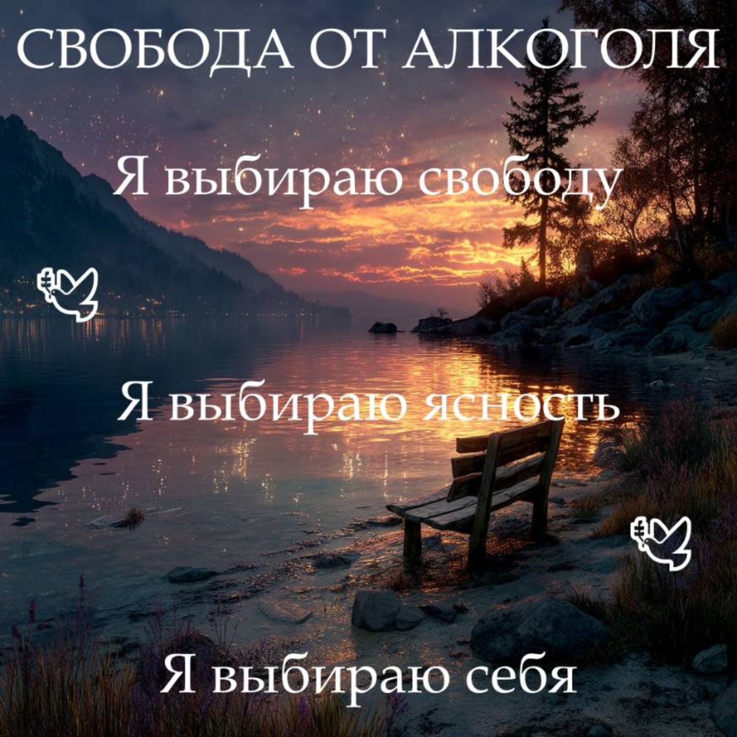 Обложка книги «Медитация PRO «Свобода от алкоголя»»