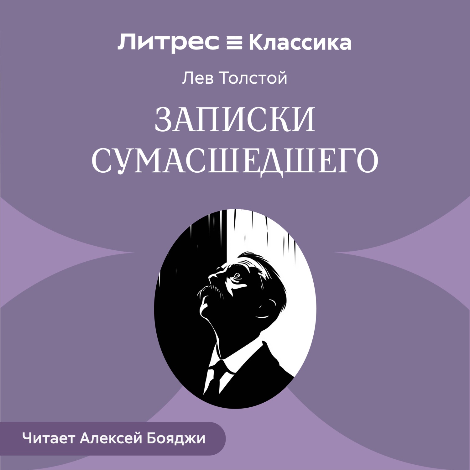 Обложка книги «Записки сумасшедшего»