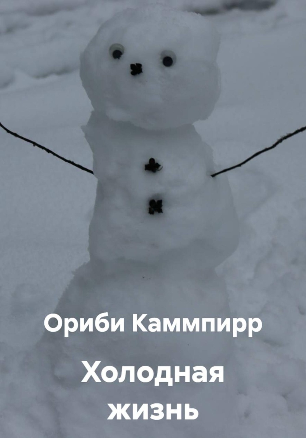 Обложка: Холодная жизнь