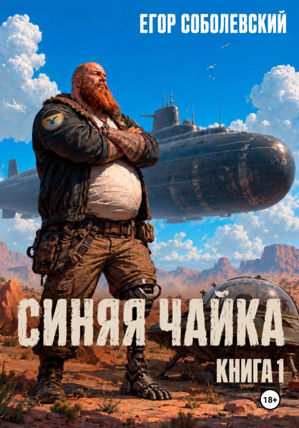 Обложка книги «Синяя чайка»
