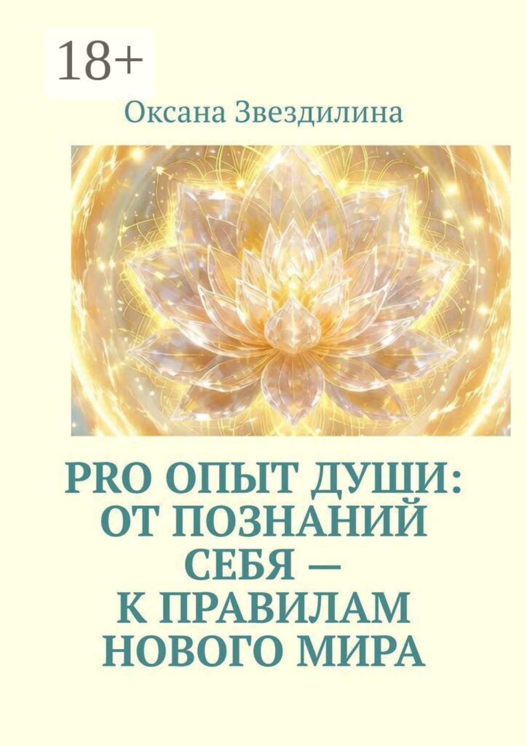 Обложка книги «Pro опыт Души: от познаний себя — к правилам Нового Мира»