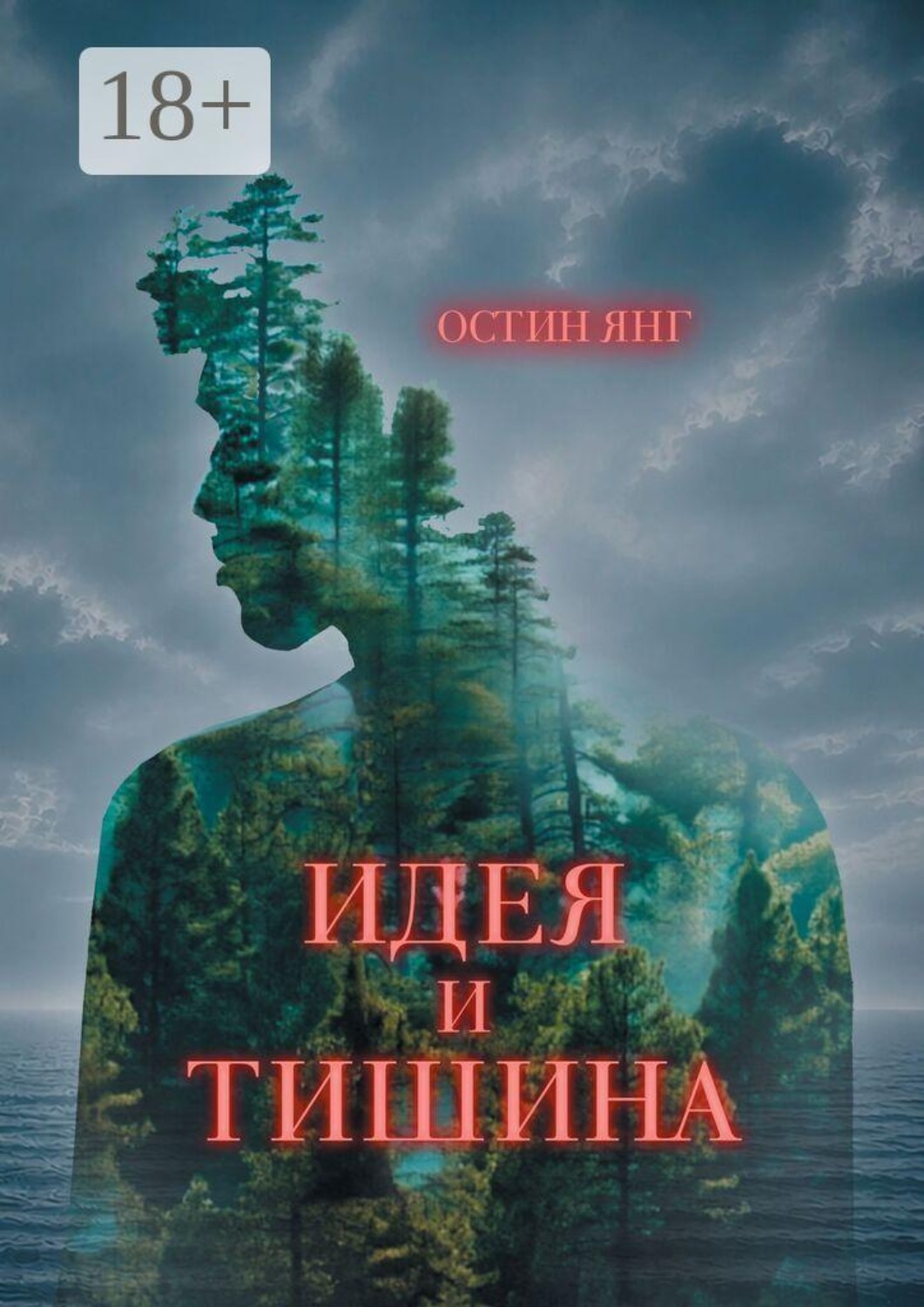 Обложка книги «Идея и Тишина»