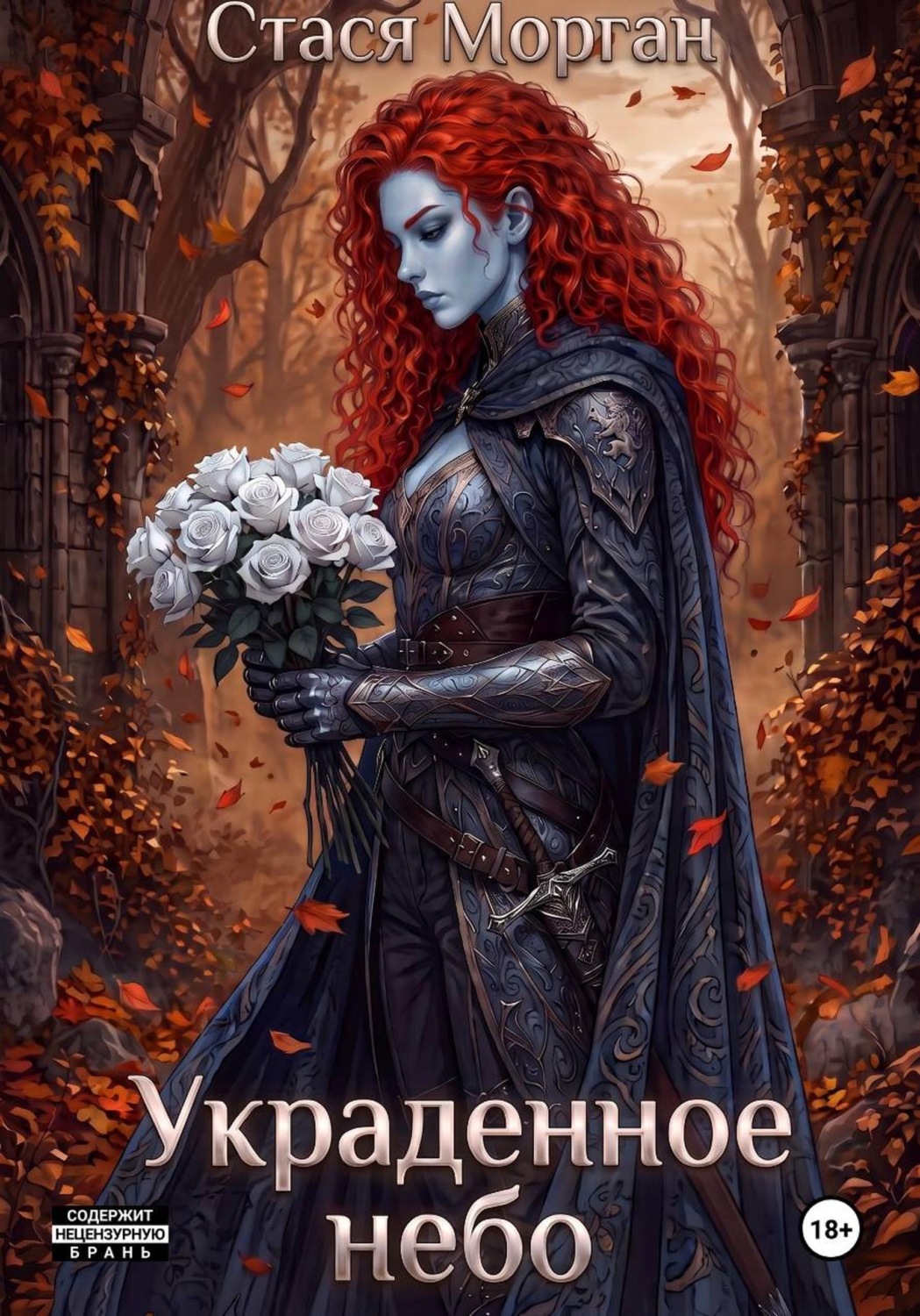 Обложка книги «Украденное небо»