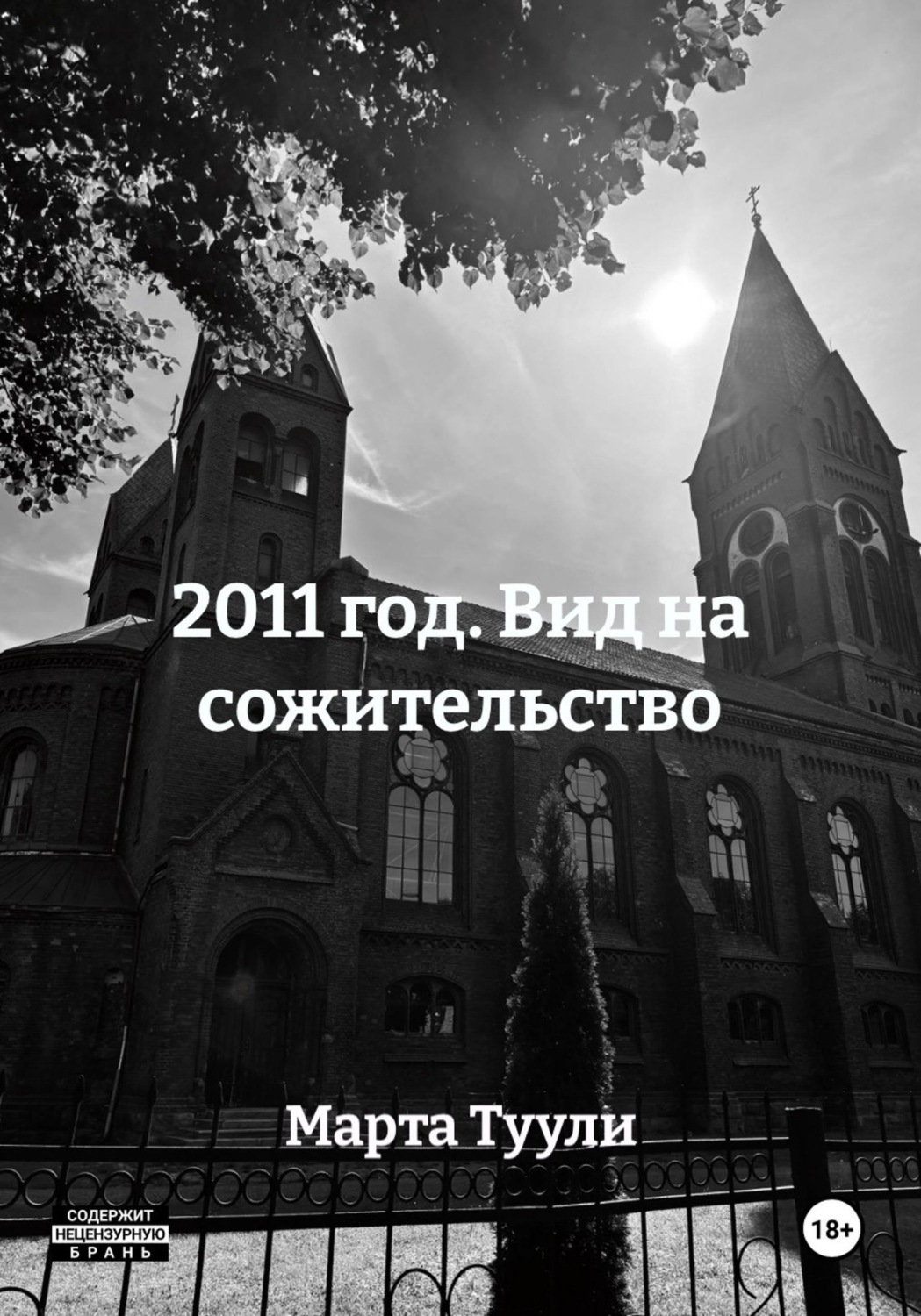 Обложка книги «2011 год. Вид на сожительство»